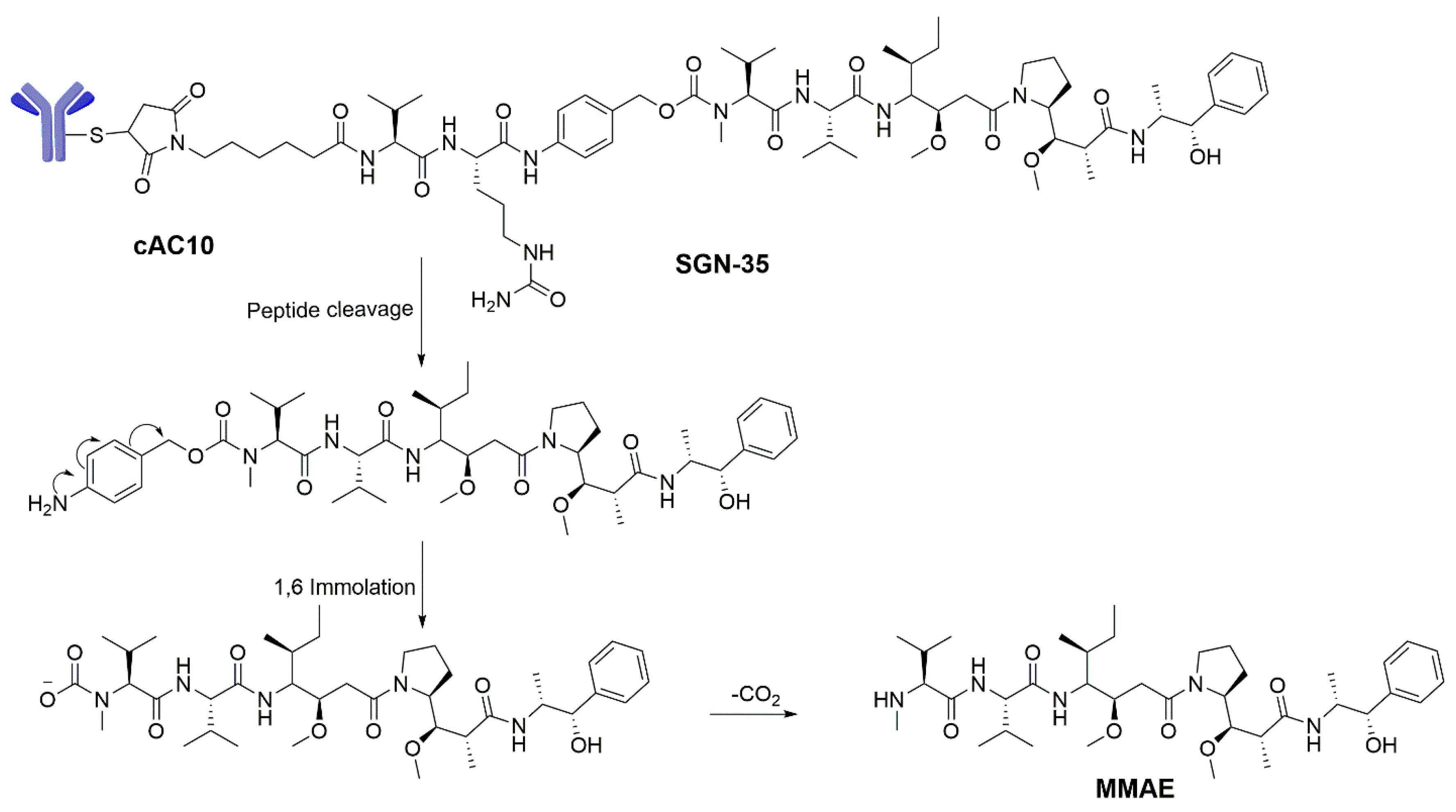 Molecules 22 01281 sch005
