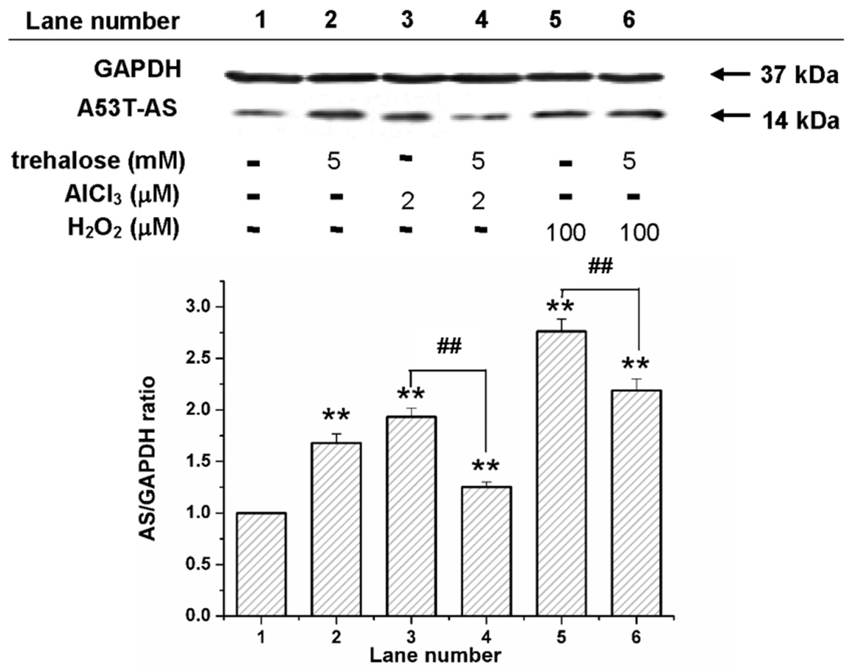 Molecules 22 01293 g004 Molecules 22 01293 g004