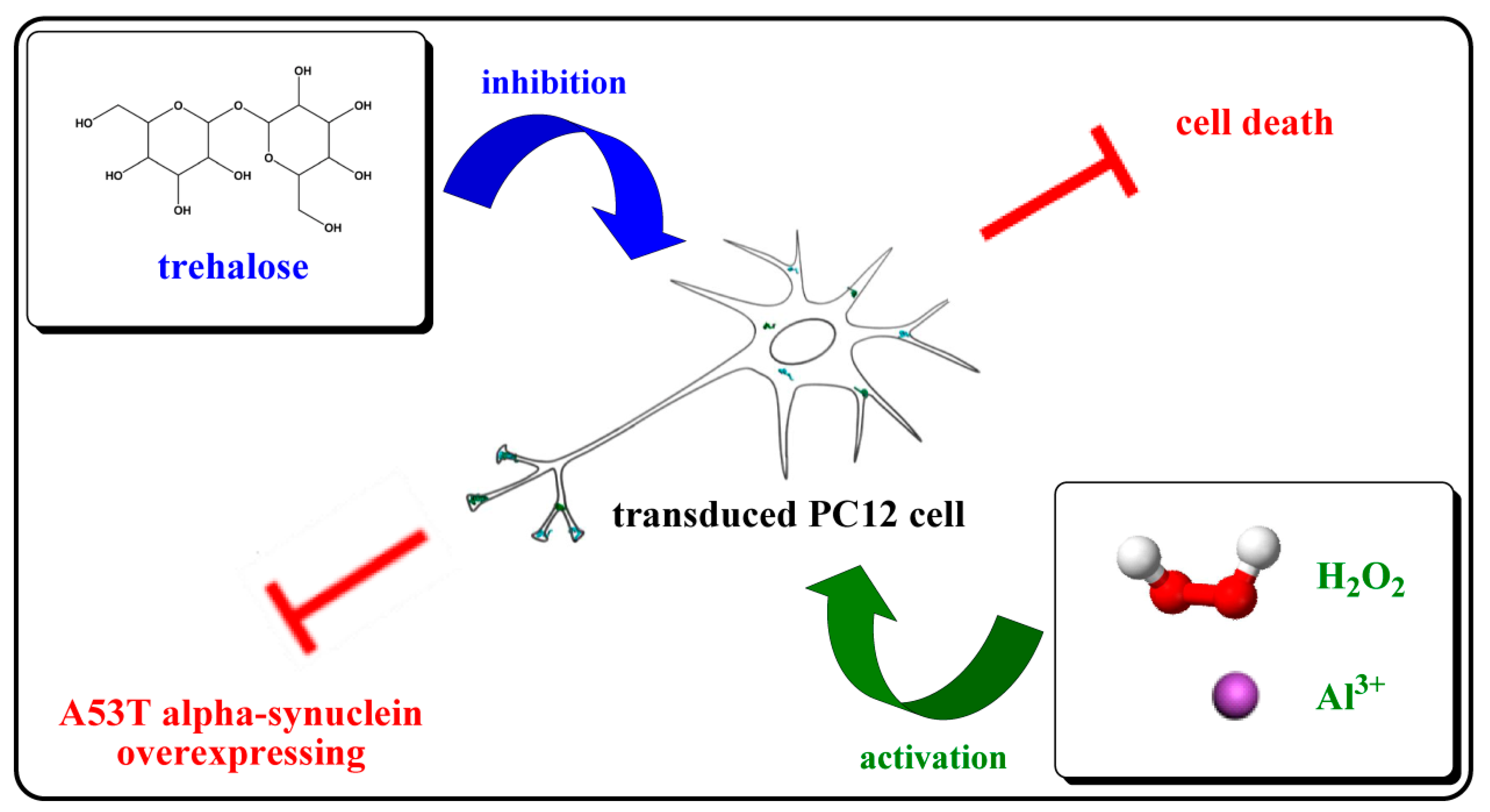 Molecules 22 01293 g007 Molecules 22 01293 g007
