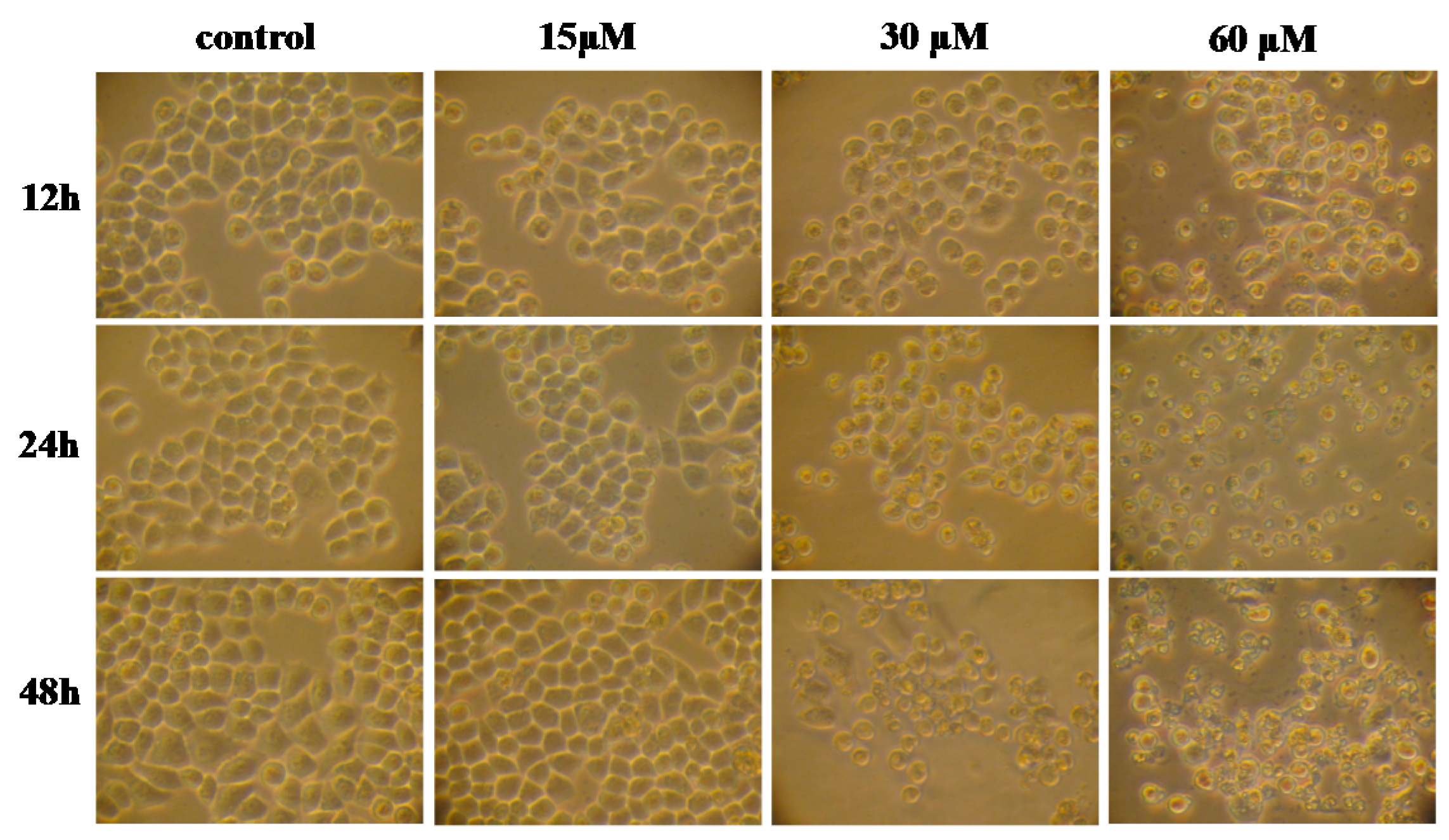 Molecules 22 01299 g002