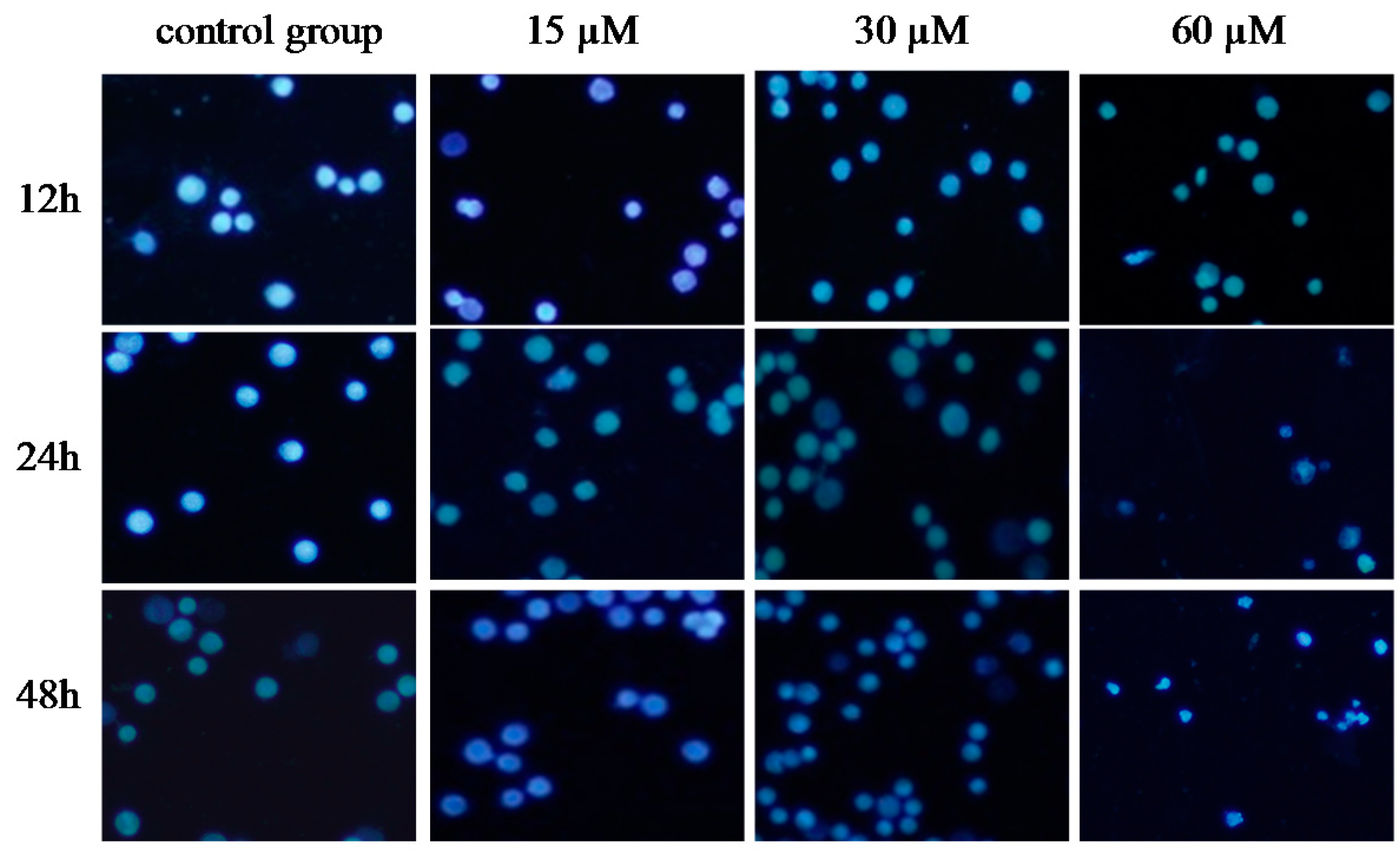 Molecules 22 01299 g004