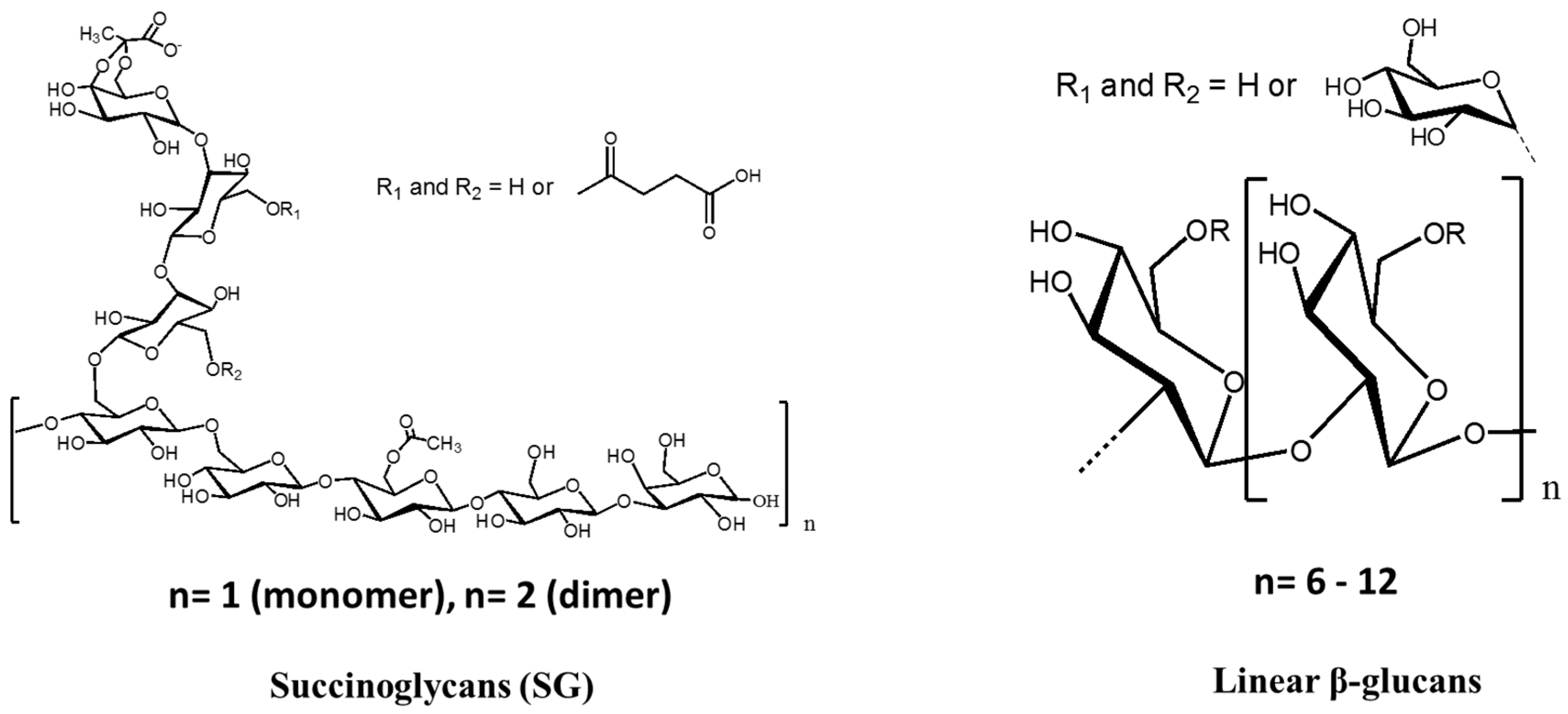 Molecules 22 01311 g006