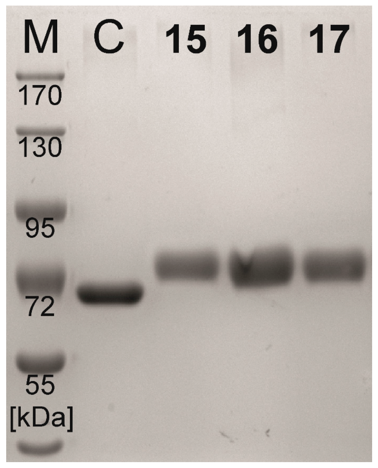 Molecules 22 01320 g002