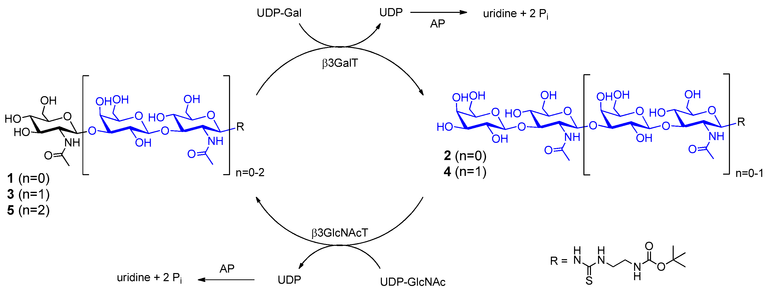 Molecules 22 01320 sch002