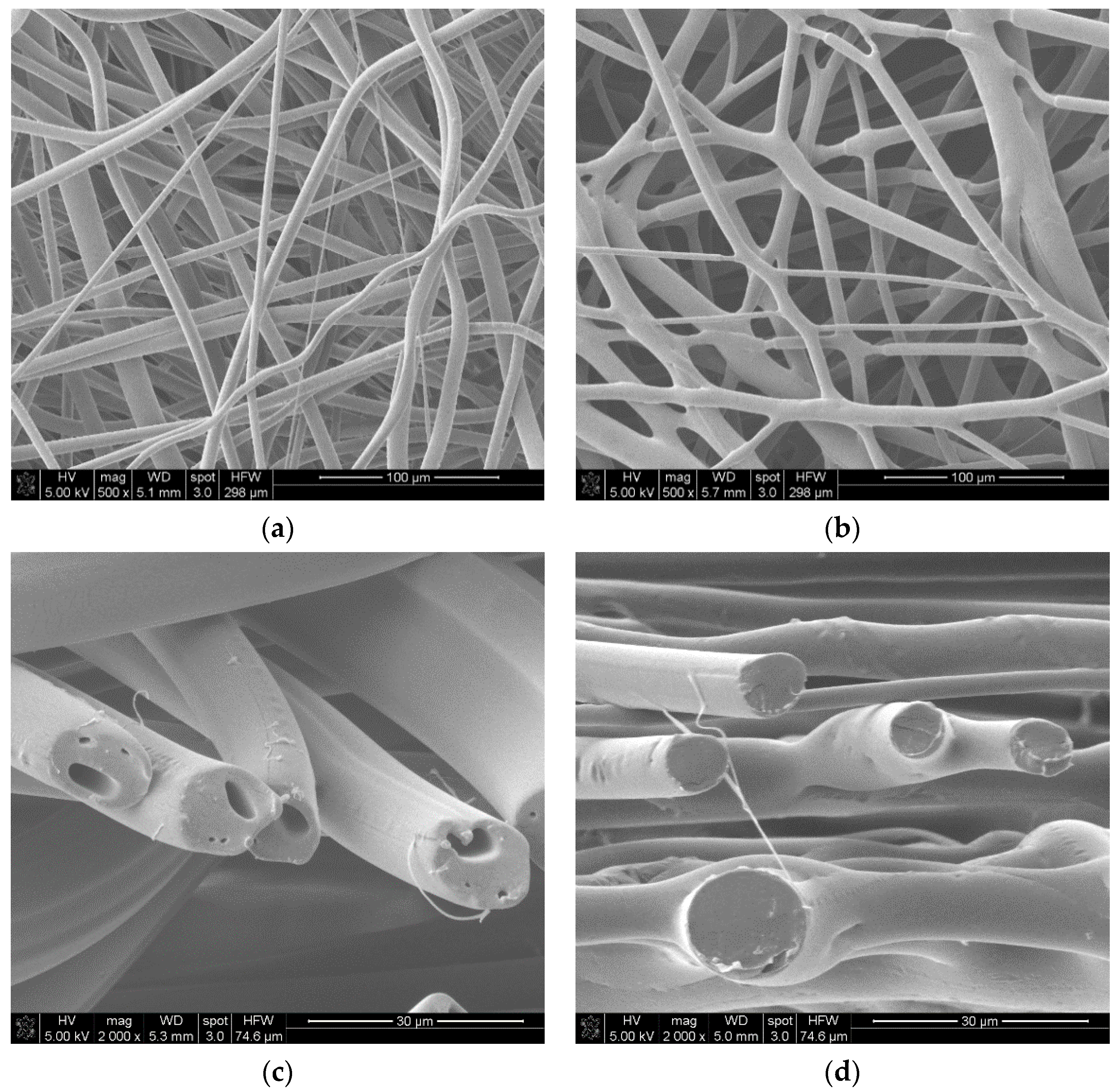 Molecules 22 01325 g003