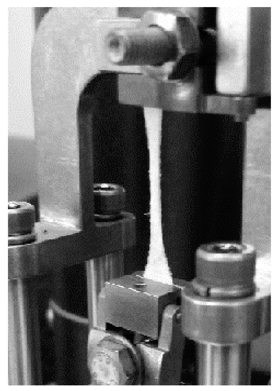 Molecules 22 01325 g009