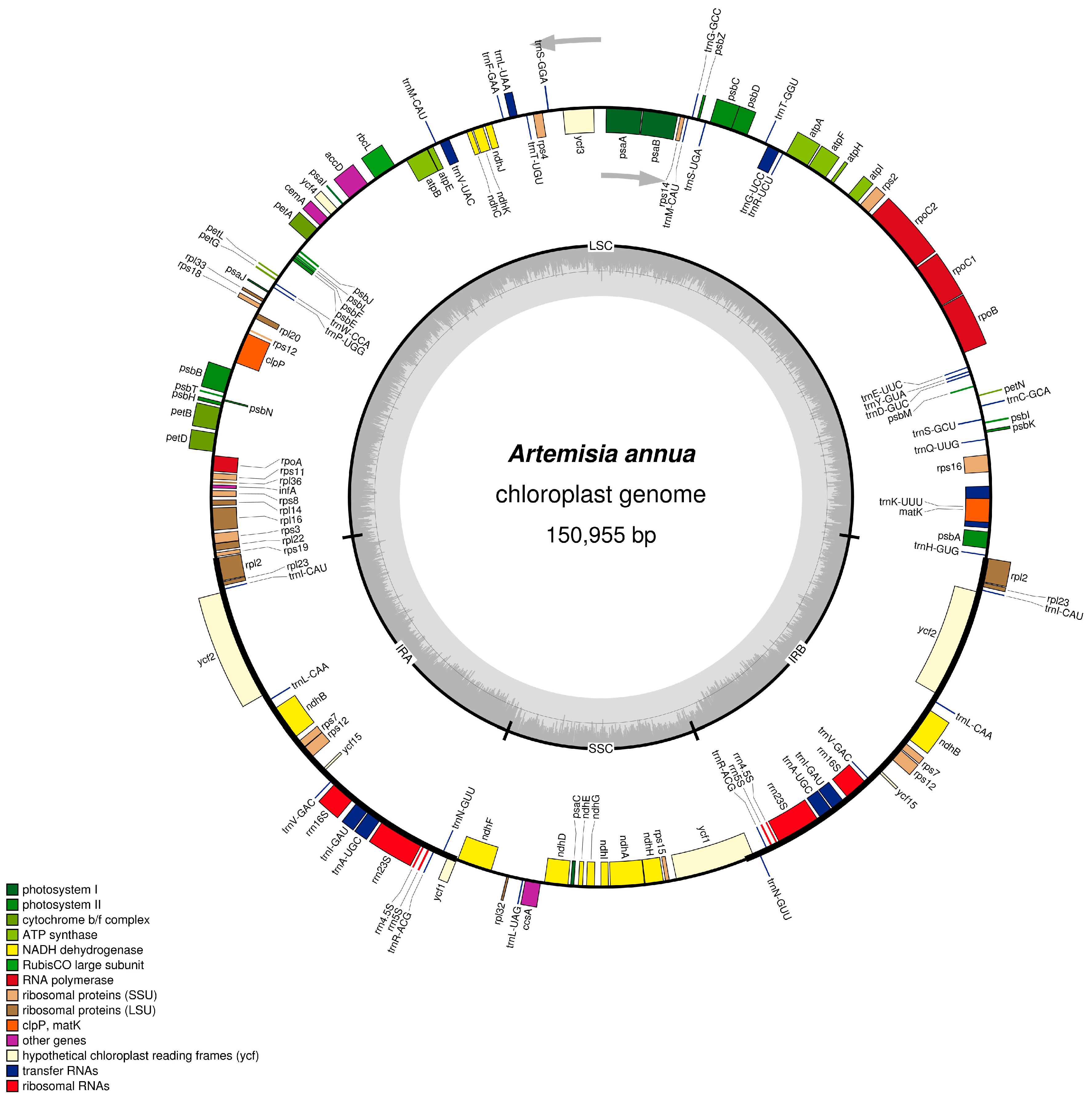Molecules 22 01330 g001