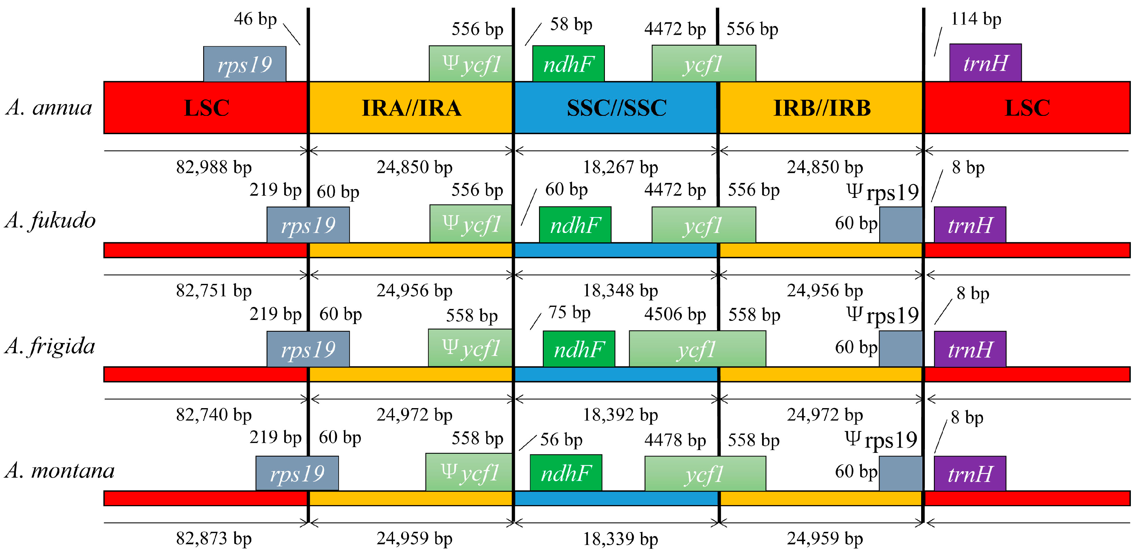 Molecules 22 01330 g003