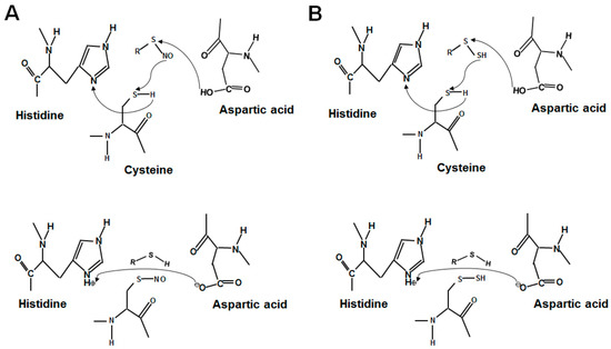 Molecules Free Full Text H2s Mediated Protein S Sulfhydration A Prediction For Its Formation And Regulation Html