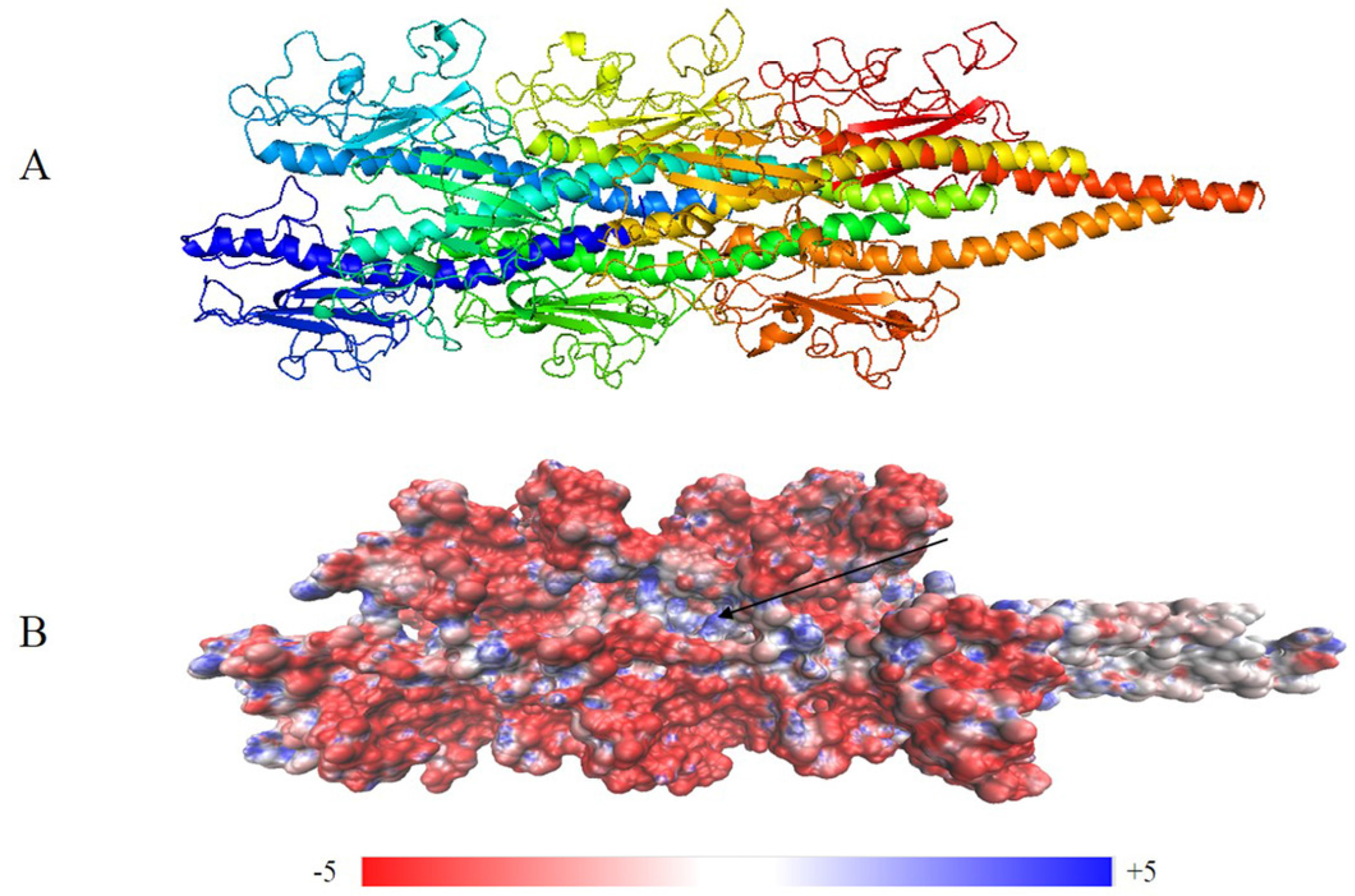 Molecules 22 01342 g004