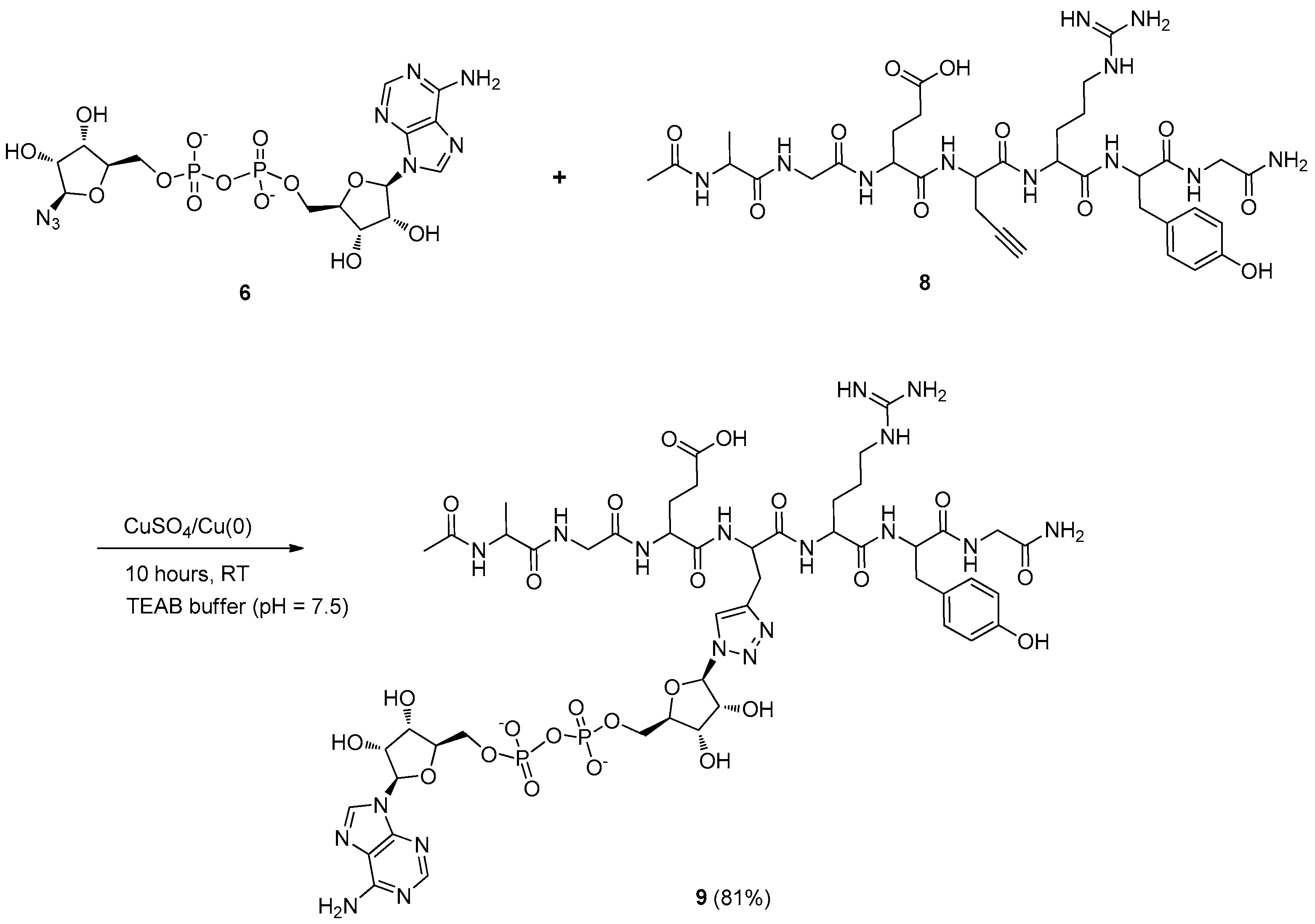 Molecules 22 01346 sch002 Molecules 22 01346 sch002