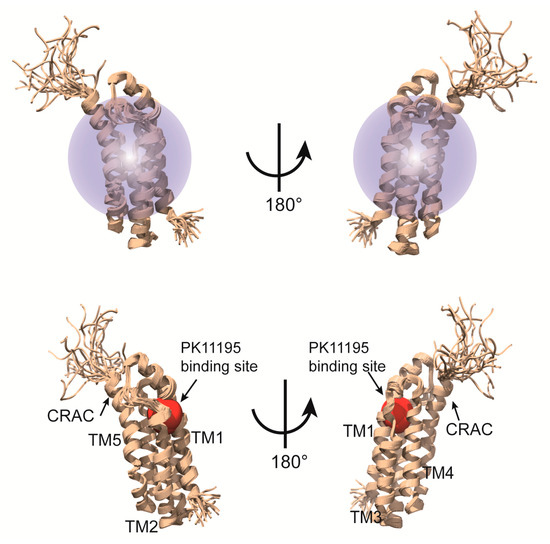 あにまる。 Application of Solution NMR to Structural Studies on α