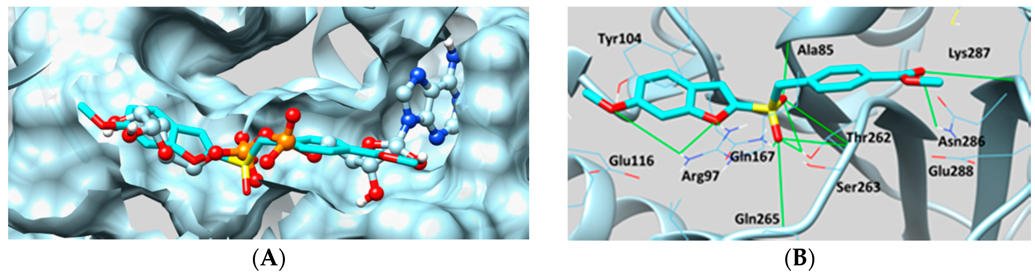 Molecules 22 01348 g003 Molecules 22 01348 g003