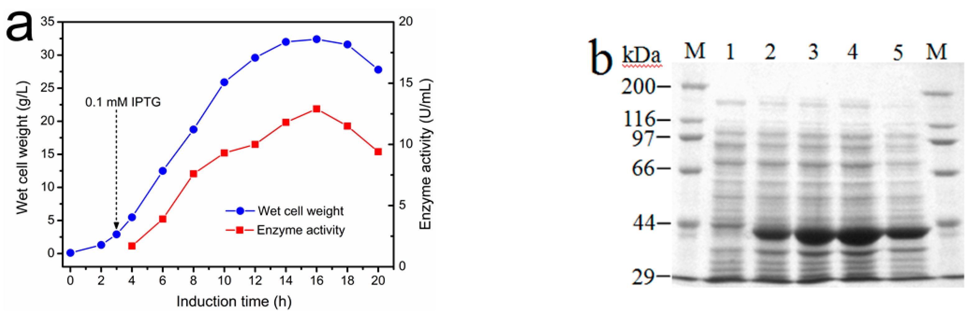 Molecules 22 01365 g003