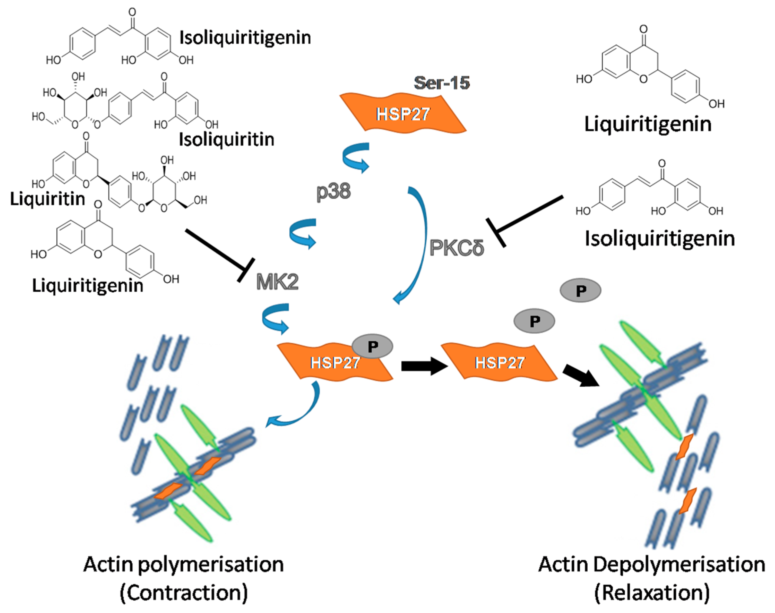 Molecules 22 01392 g009 550