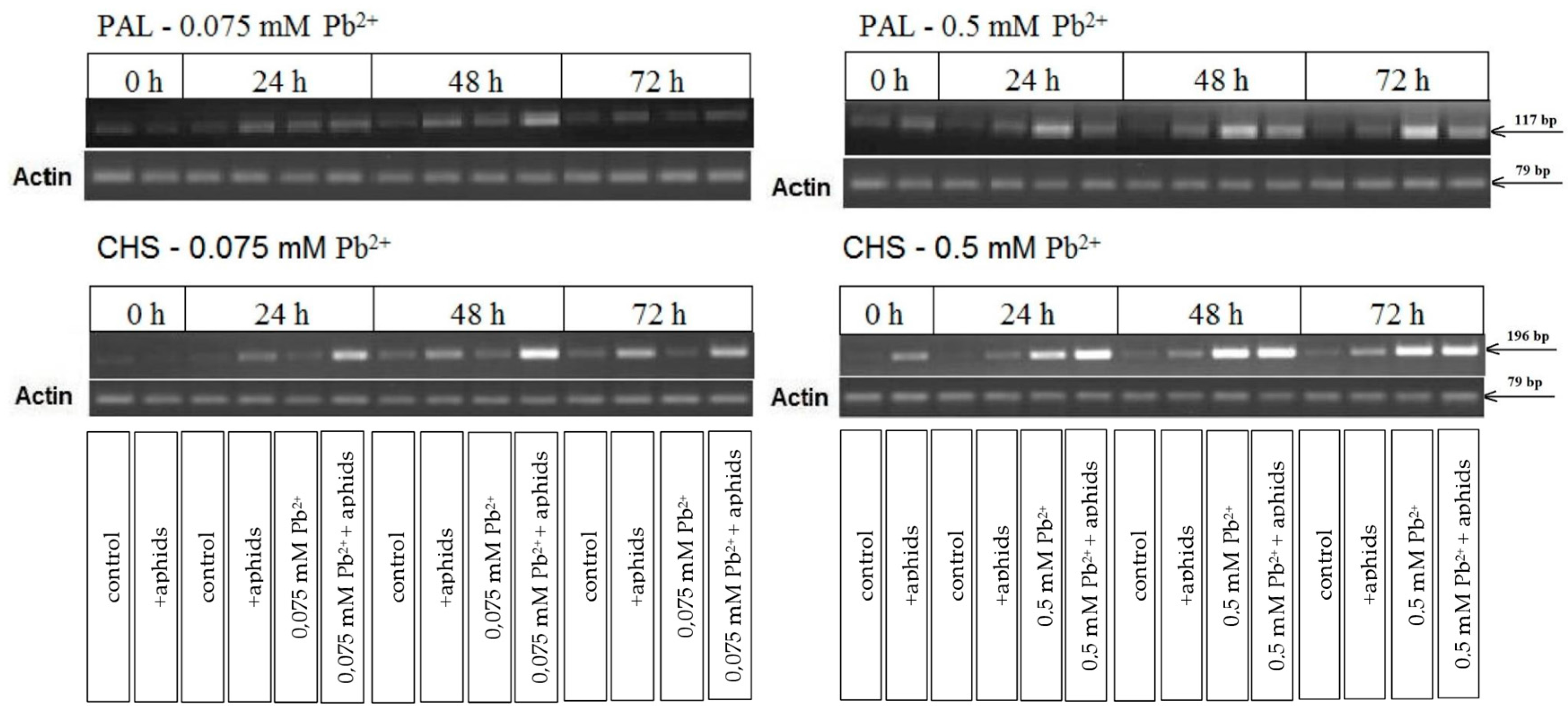 Molecules 22 01404 g006