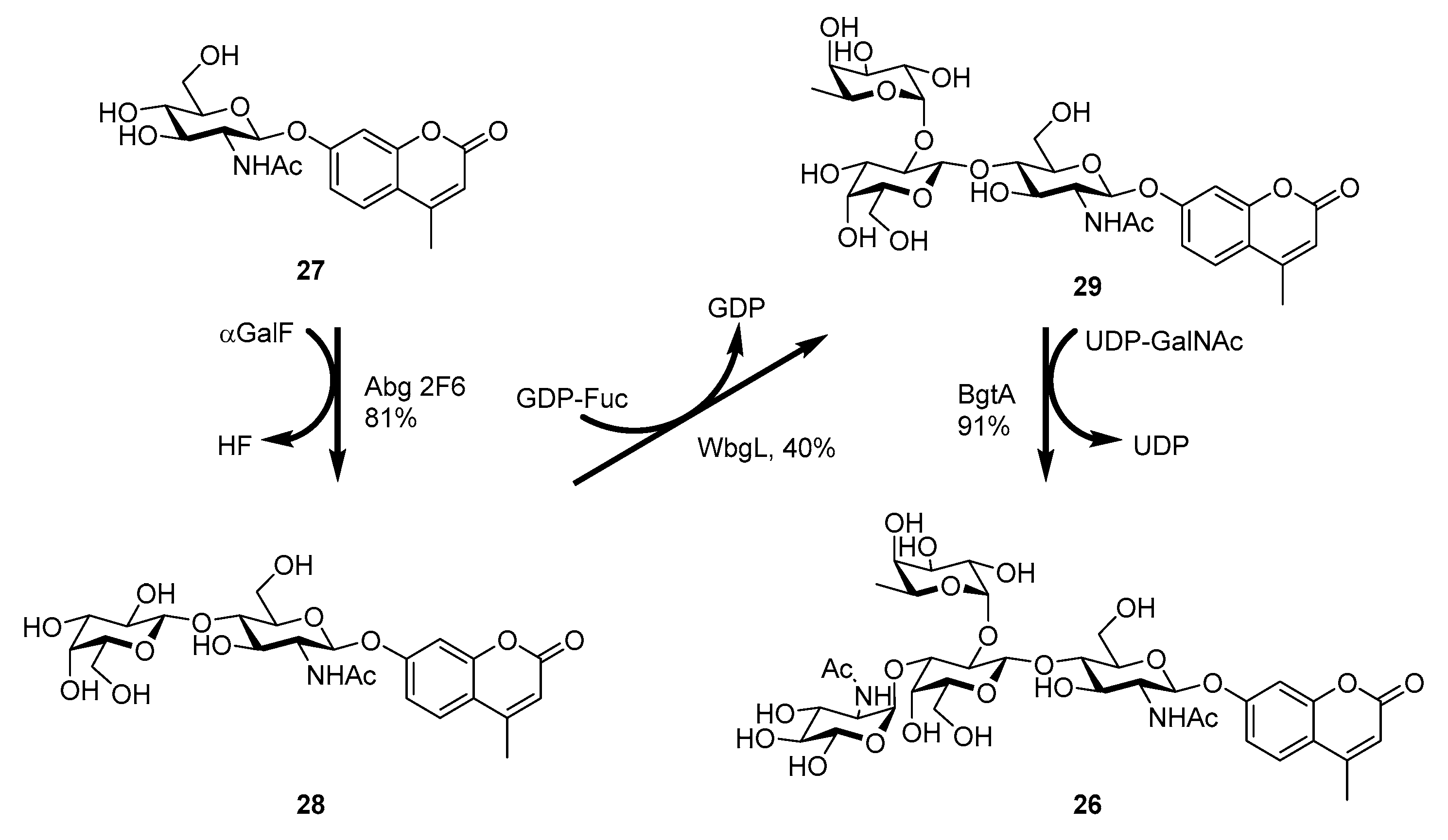 Molecules 22 01434 sch004