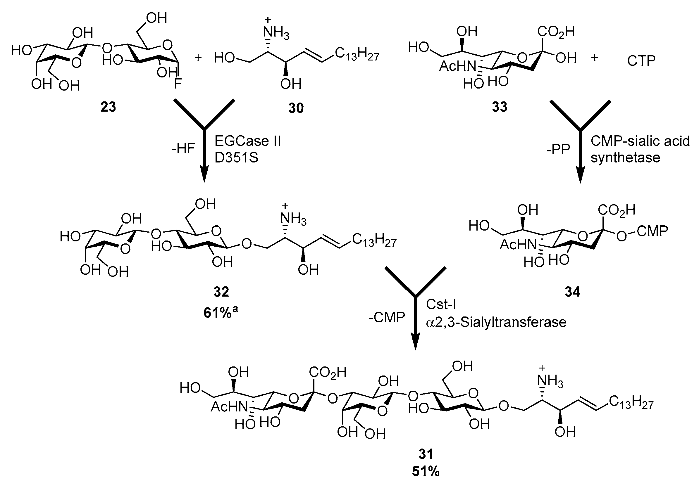 Molecules 22 01434 sch005