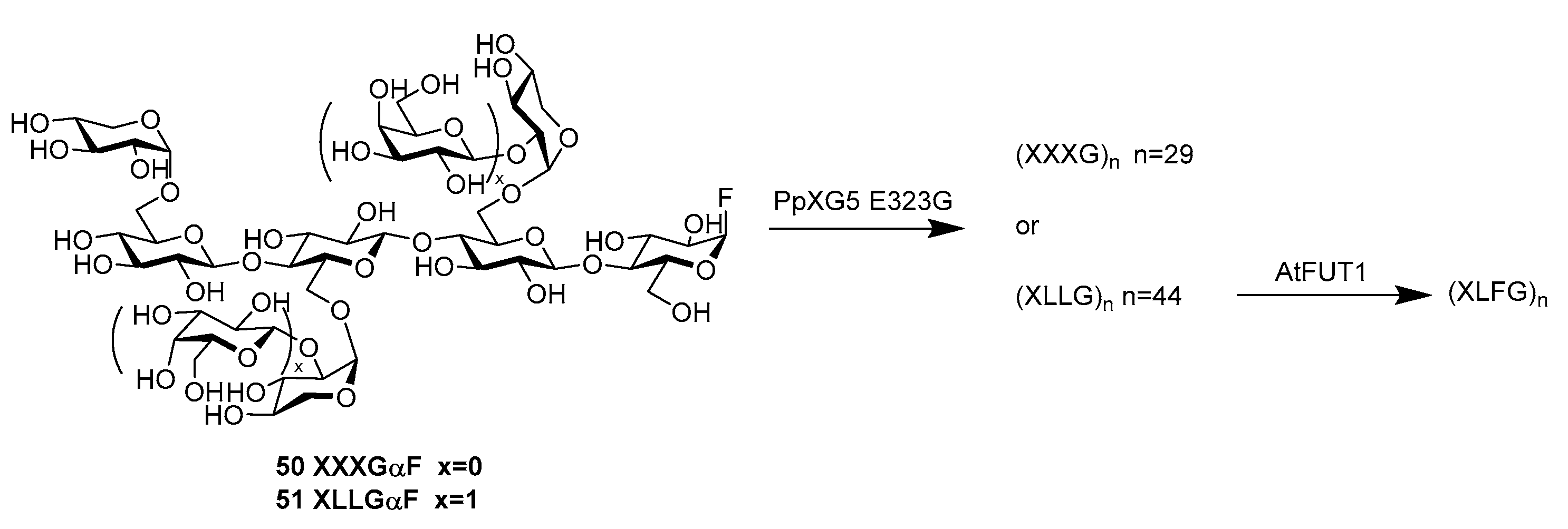 Molecules 22 01434 sch009