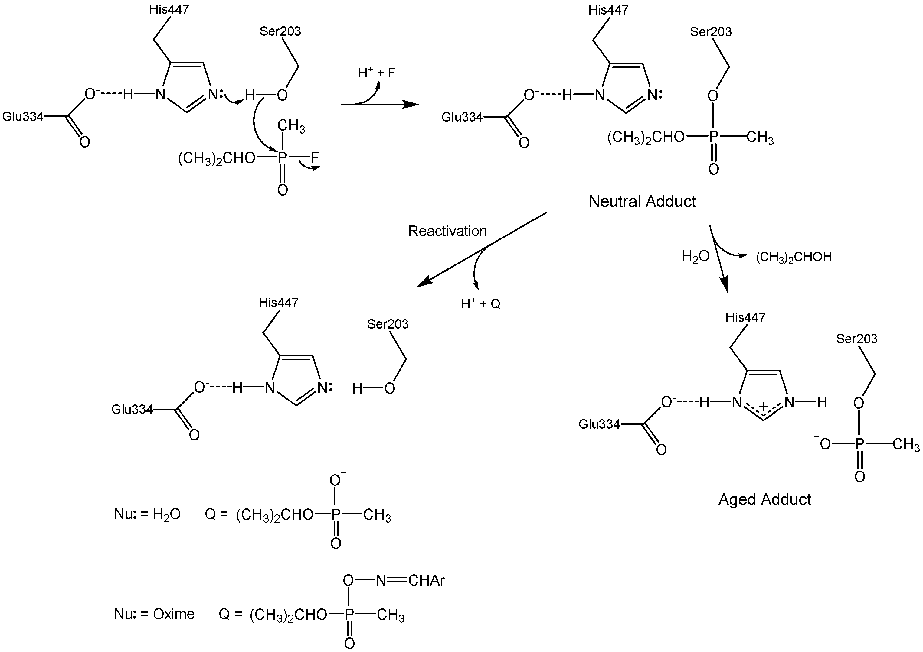 Molecules 22 01464 g001