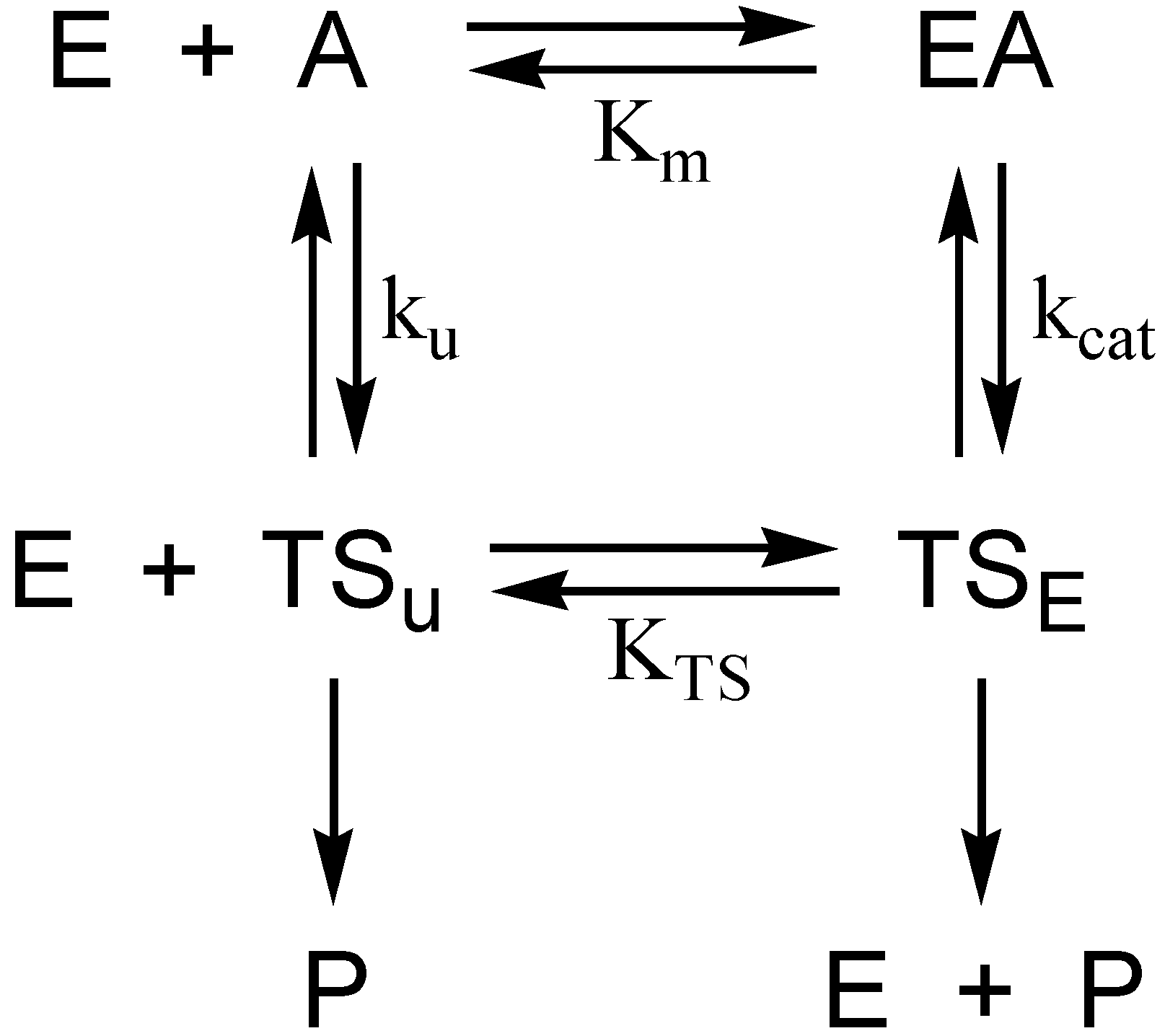 Molecules 22 01464 g002