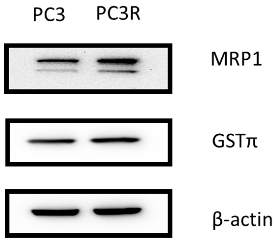 Molecules 22 01477 g003