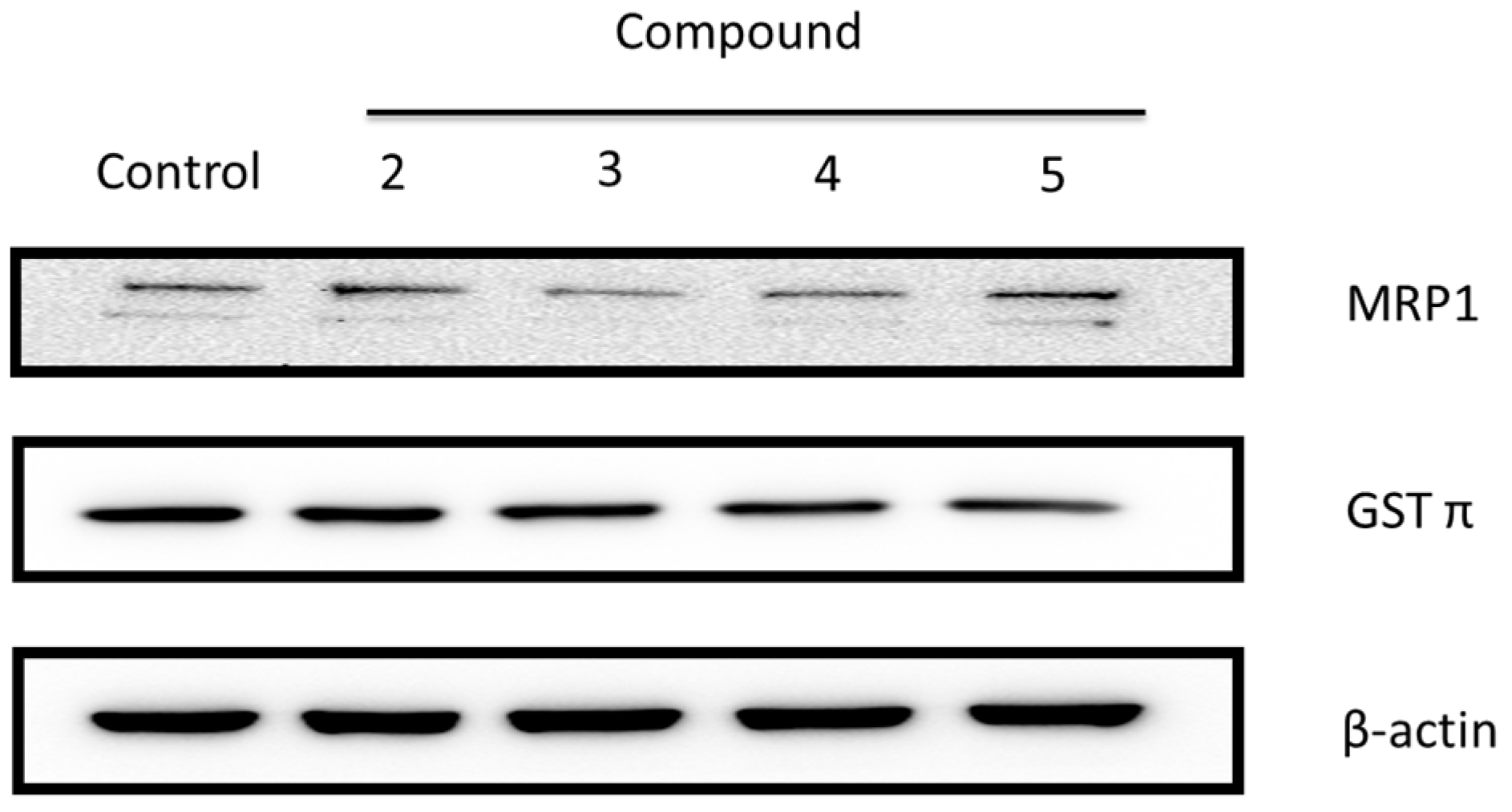 Molecules 22 01477 g005