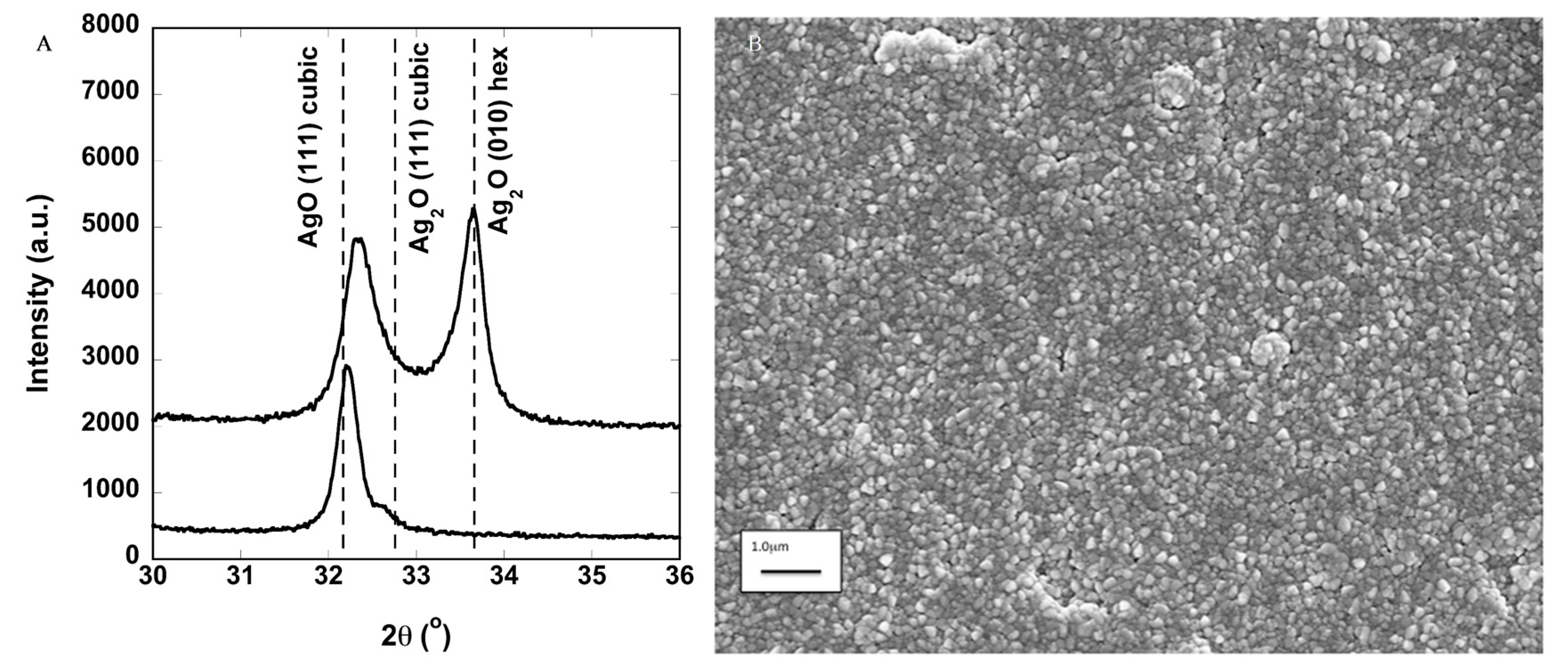 Molecules 22 01487 g001
