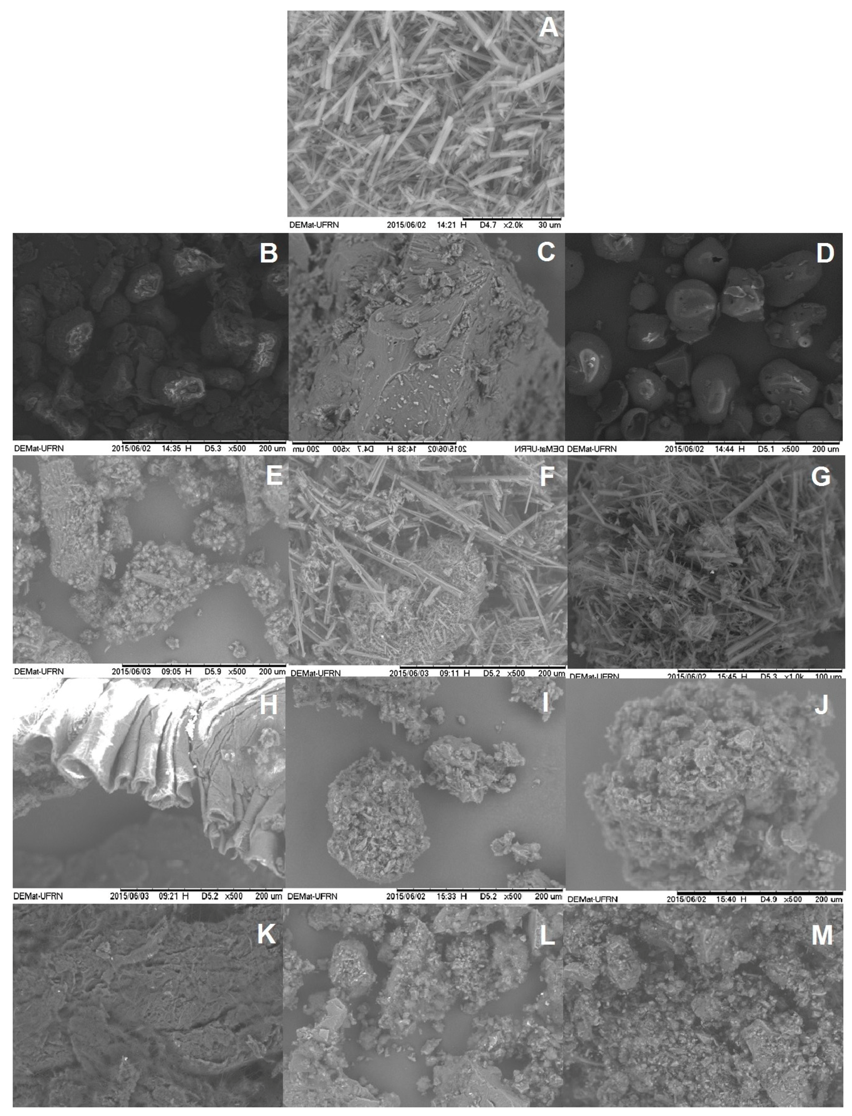 Molecules 22 01512 g002 Molecules 22 01512 g002