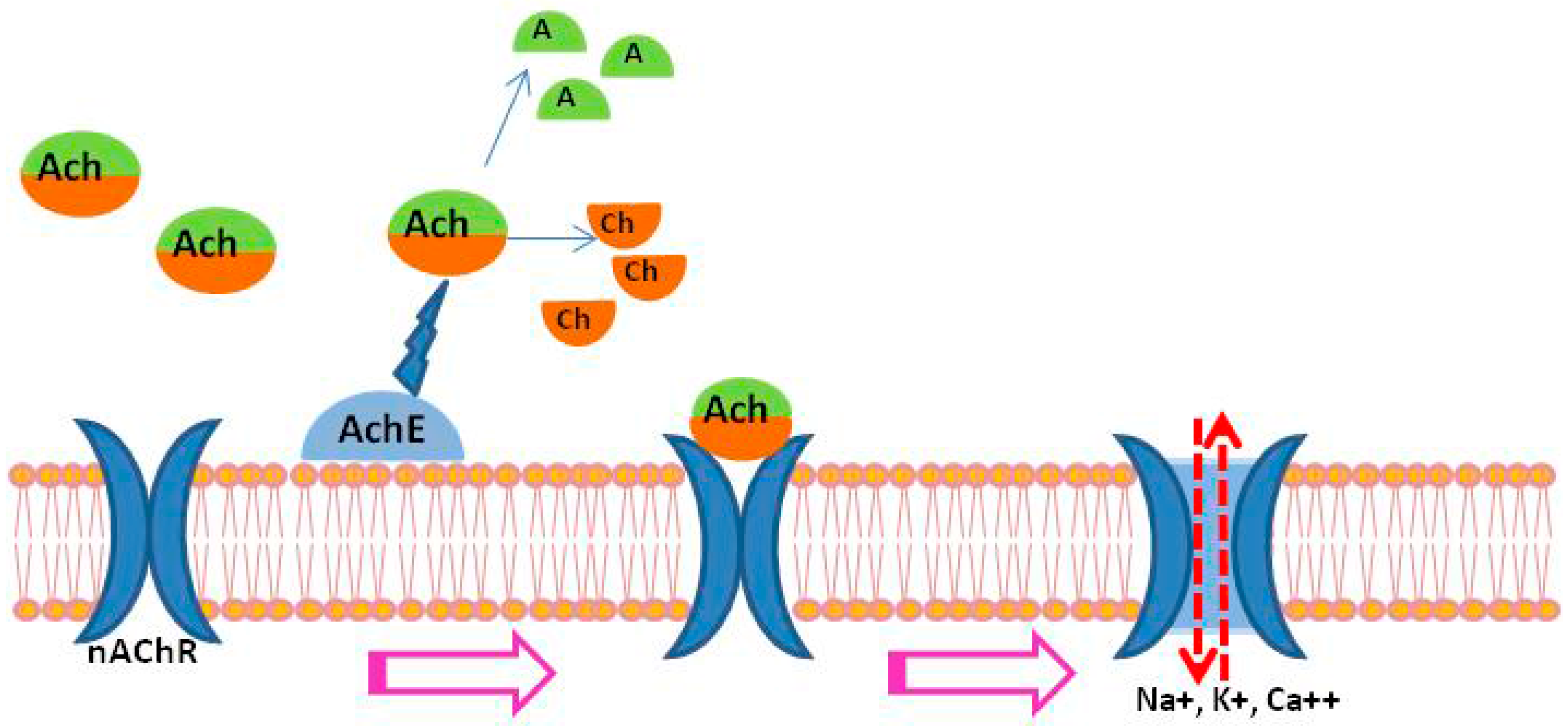 parasitic helminths ncbi)