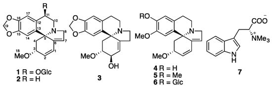 A New Erythrinan Alkaloid Glycoside from the Seeds of Erythrina crista-galli