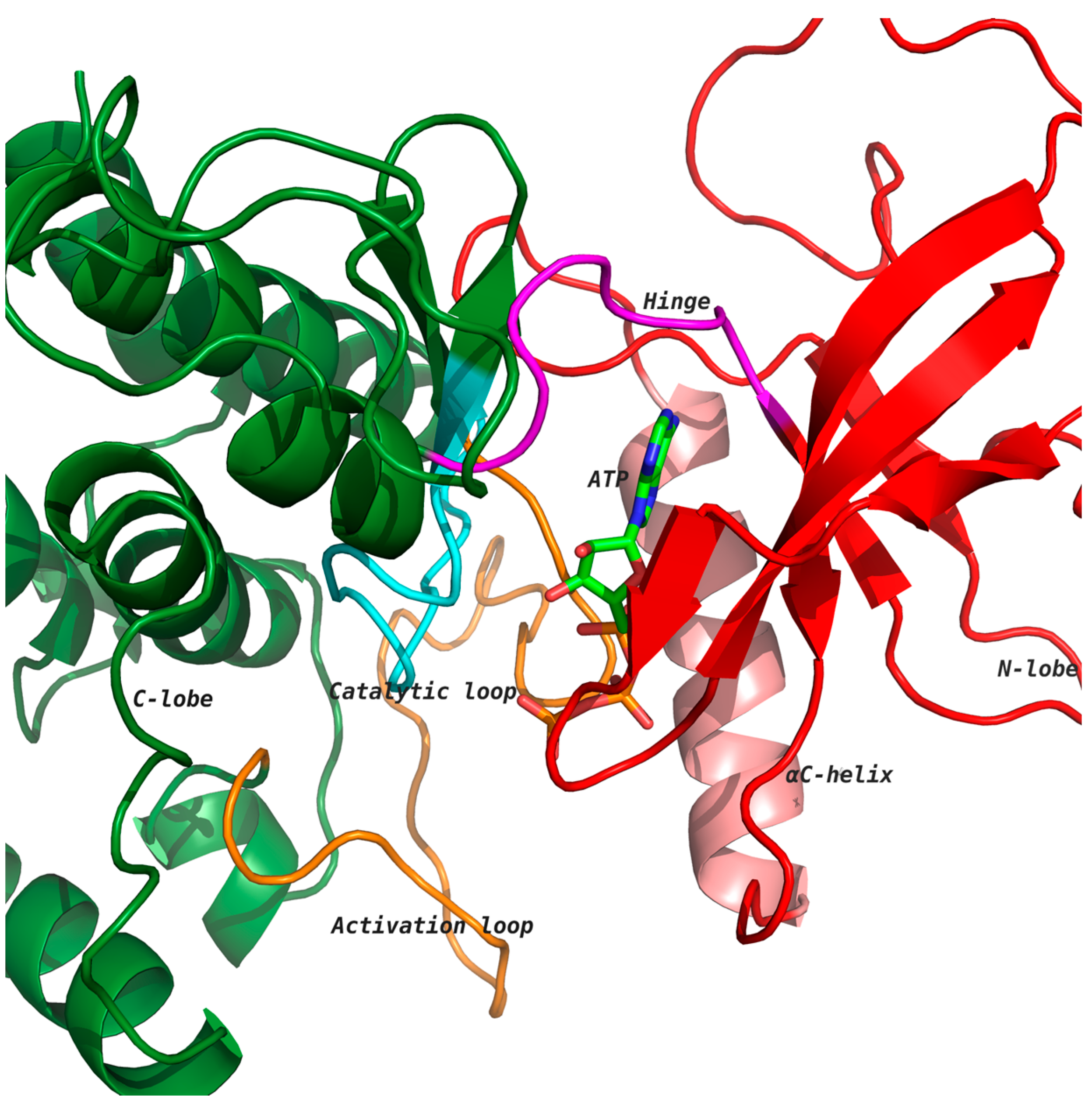 Molecules 22 01576 g001