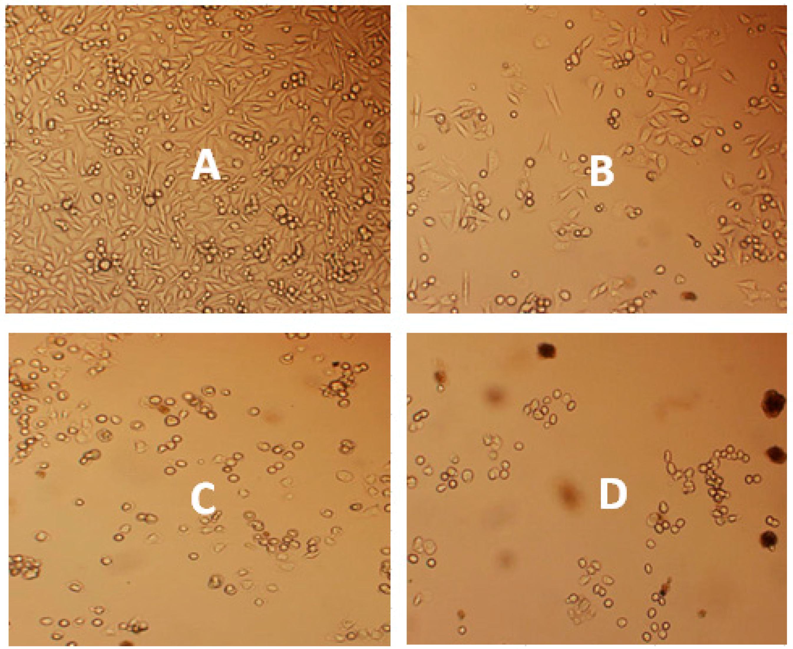 Molecules 22 01594 g003