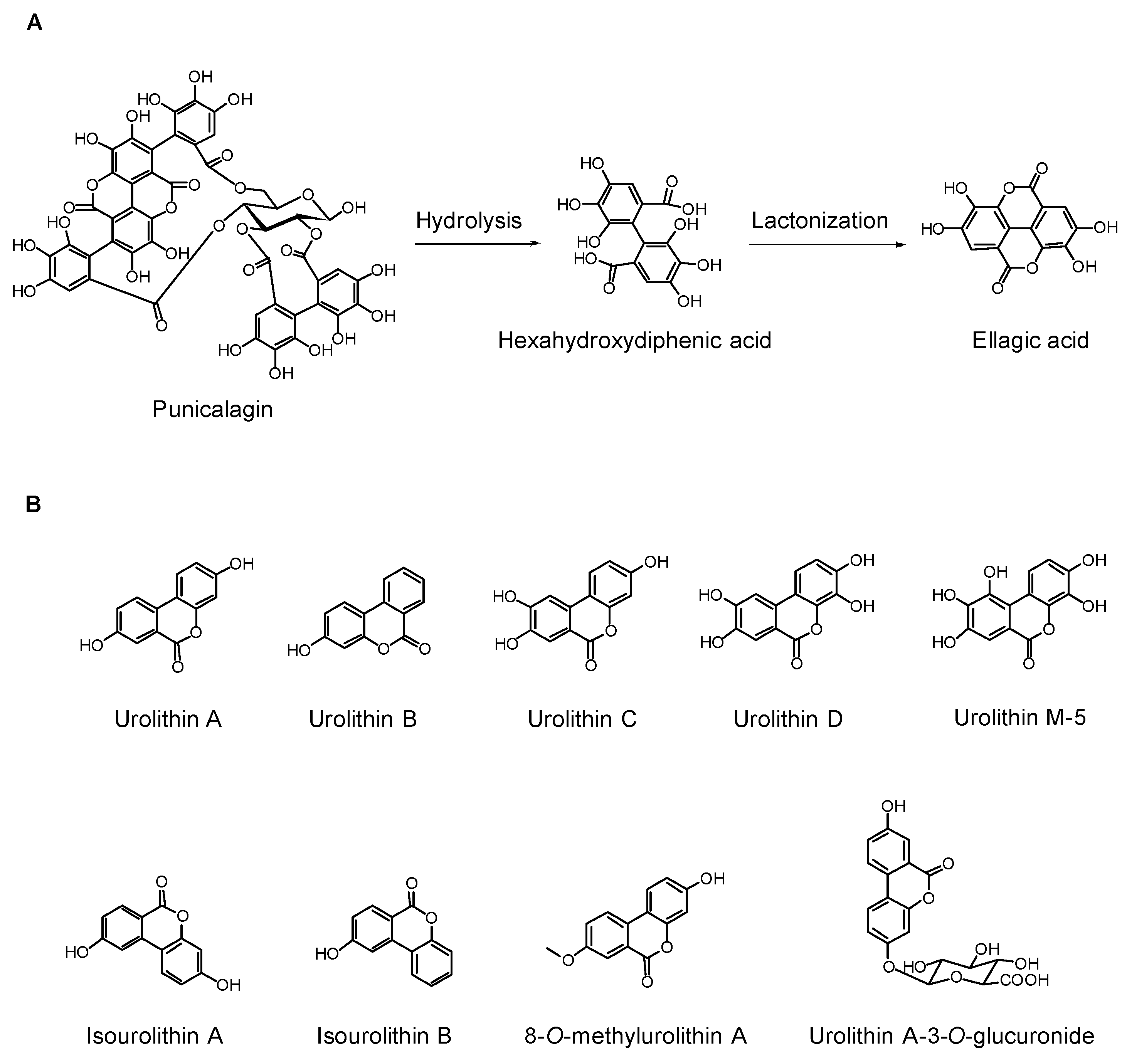 Molecules 22 01606 g001