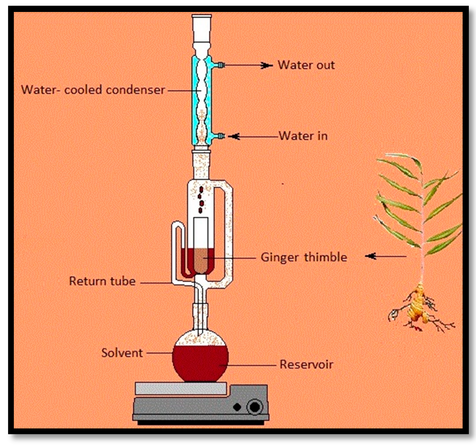 labelled diagram of a soxhlet extractor