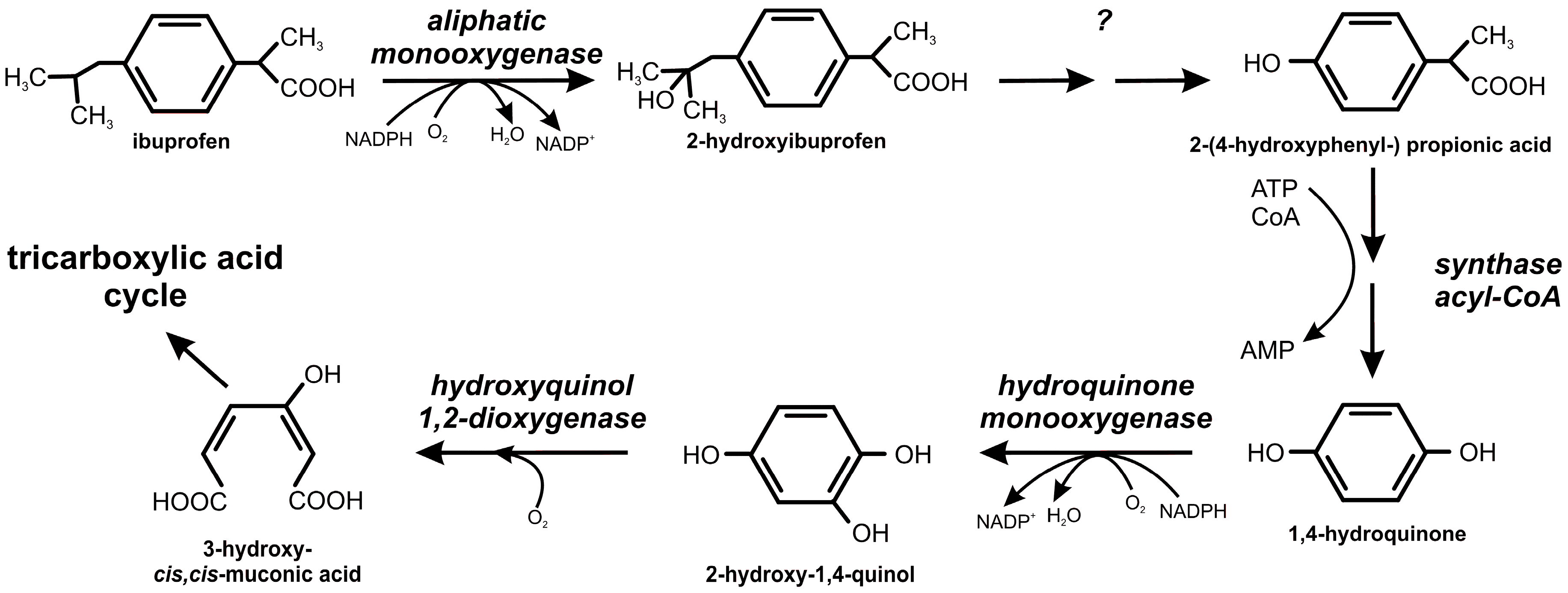 Synth se Ibuprof ne Tp ibuprofen-600mg