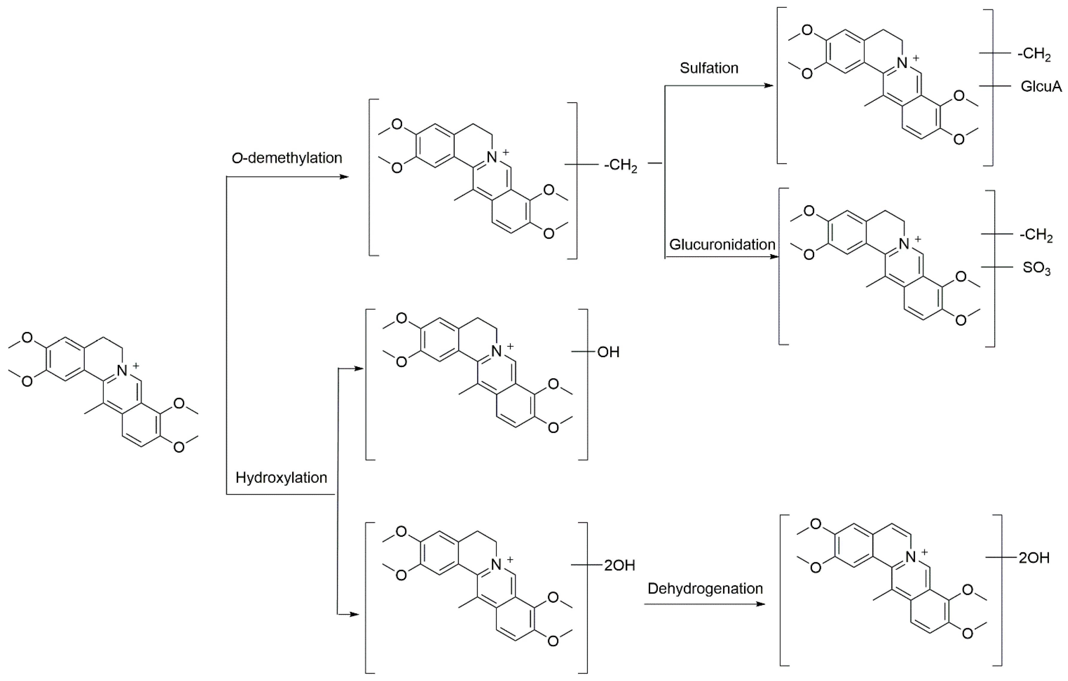 Molecules 22 01686 g009