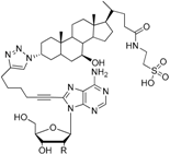 Molecules 22 01710 i003