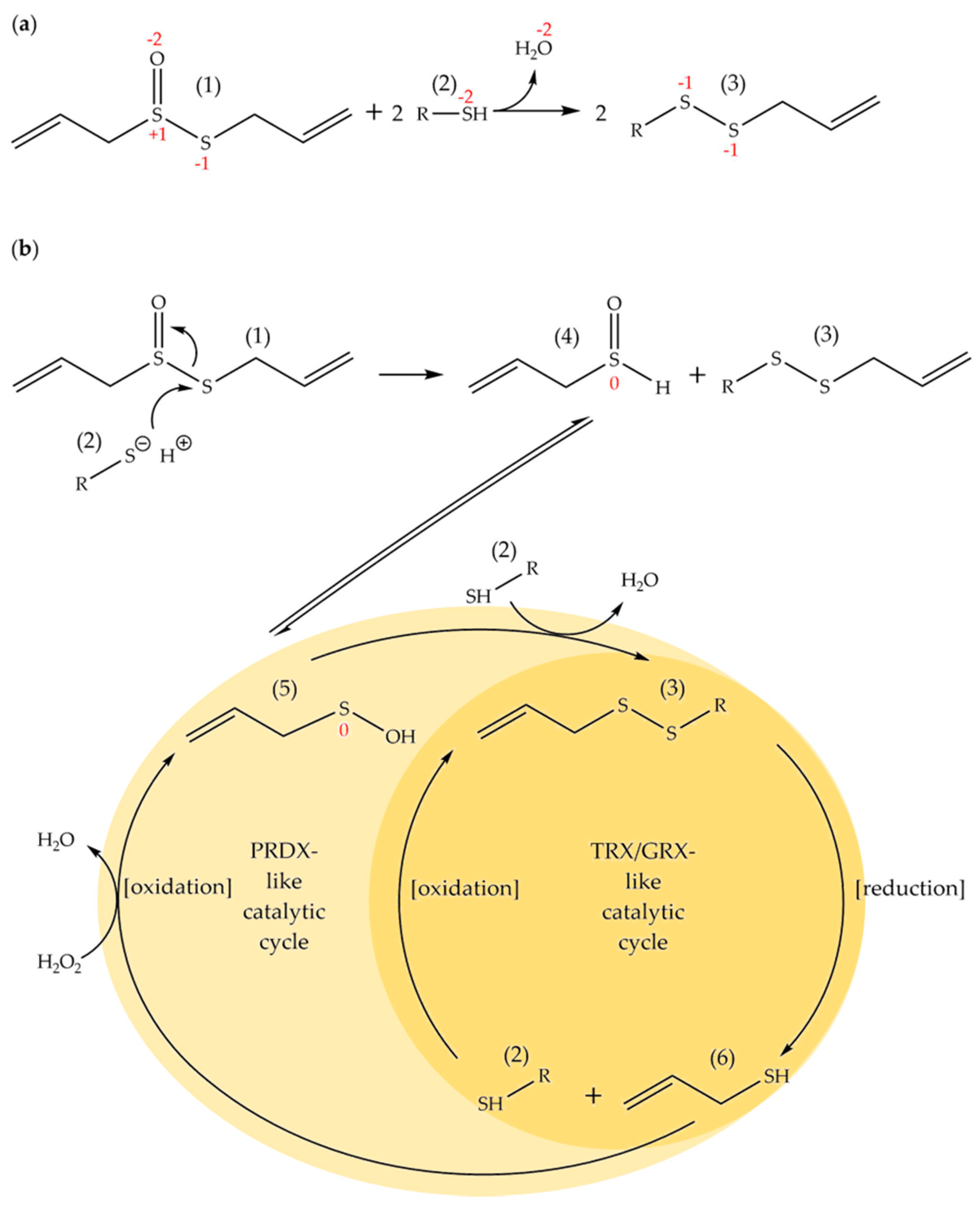 Molecules 22 01711 sch002