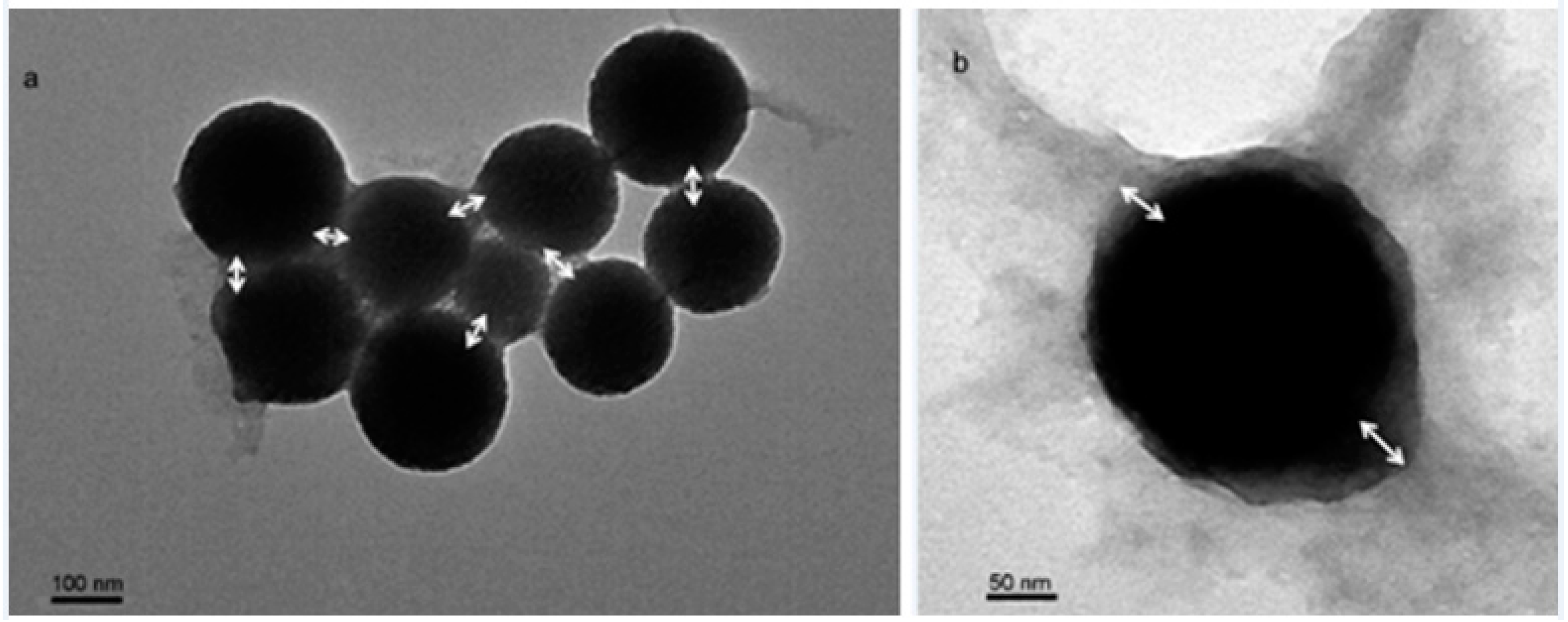 core shell nanoparticles thesis core shell nanoparticles thesis