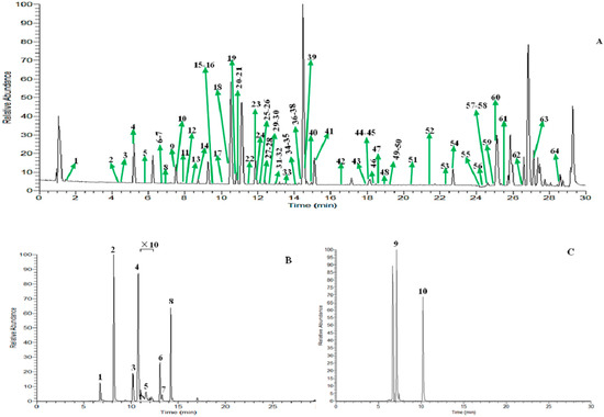 zzz　no.5・34・35・55 A triple combination strategy for nasopharyngeal carcinoma