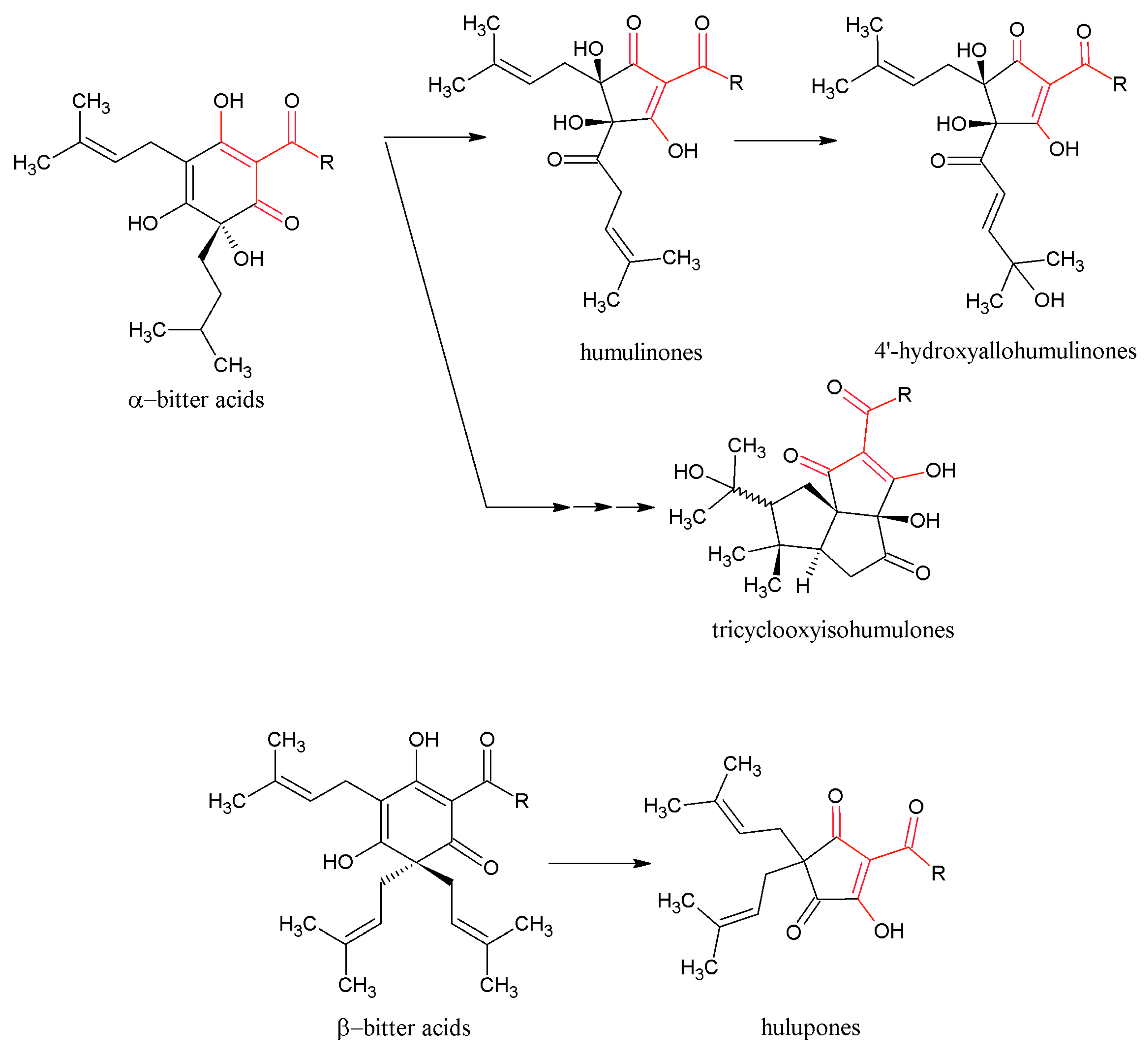 Molecules 22 01761 g003