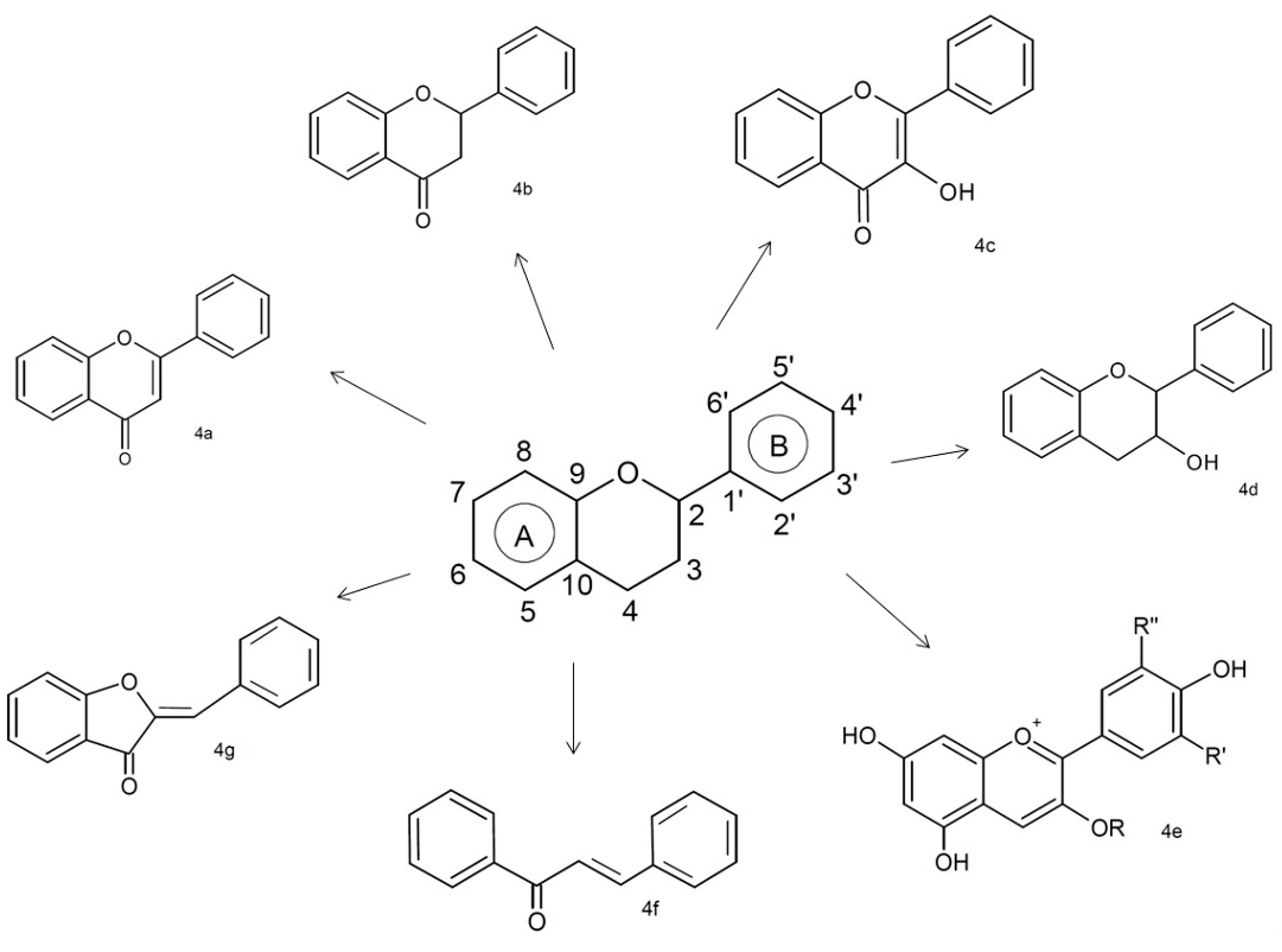 Molecules 22 01774 g004