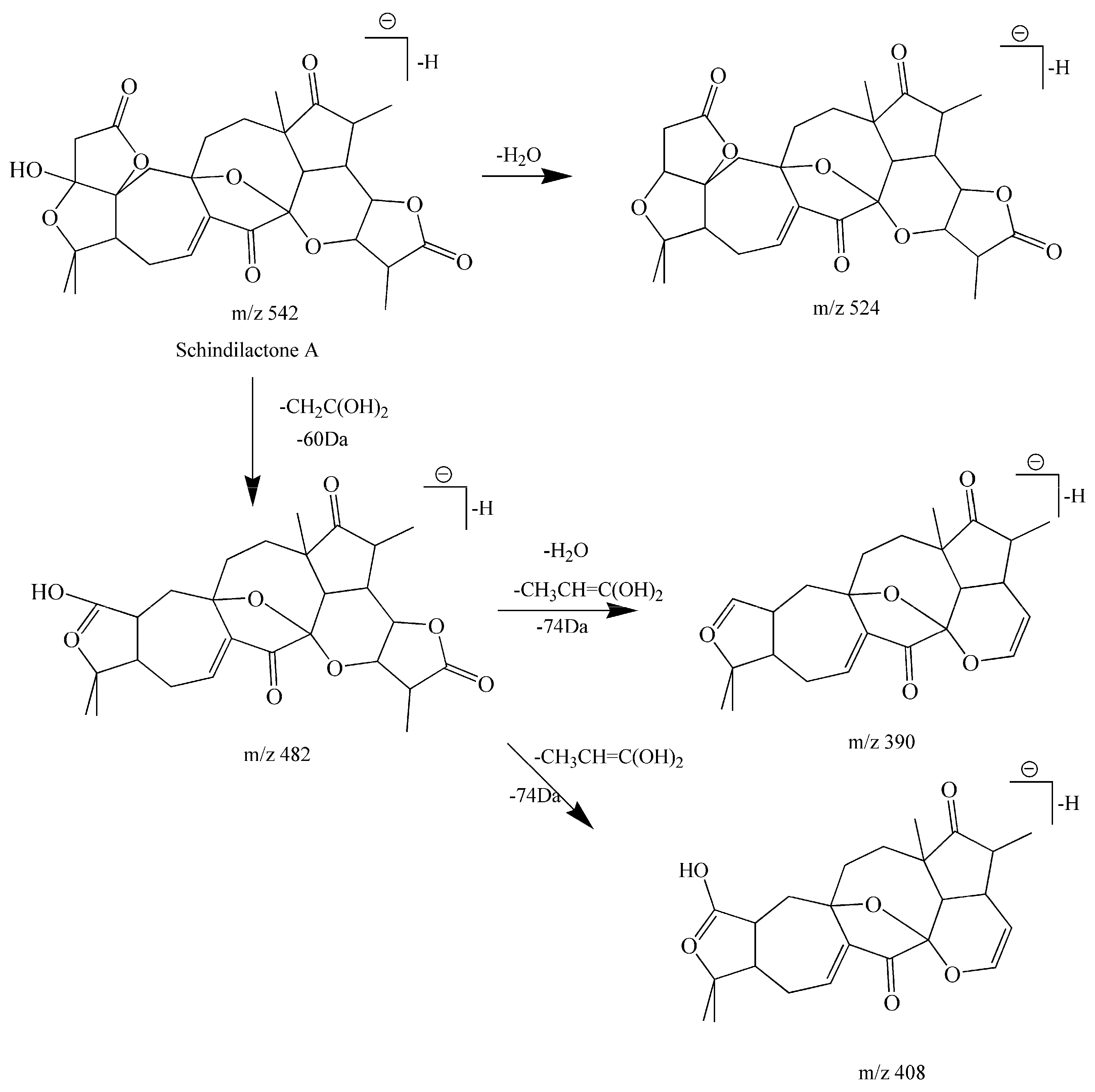 Molecules 22 01778 g007