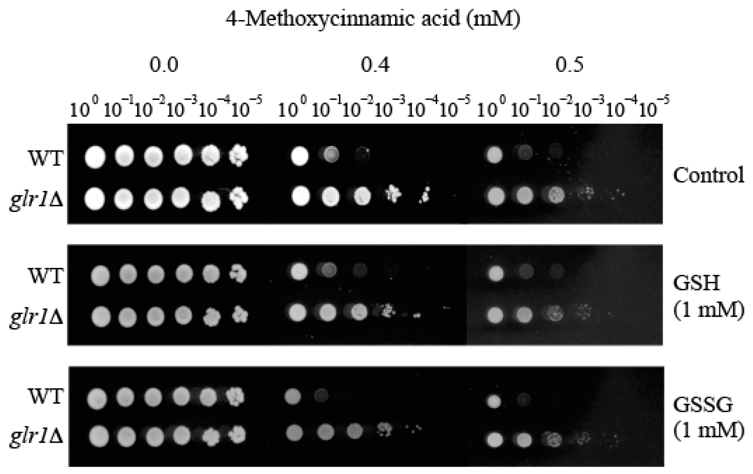 Molecules 22 01783 g003