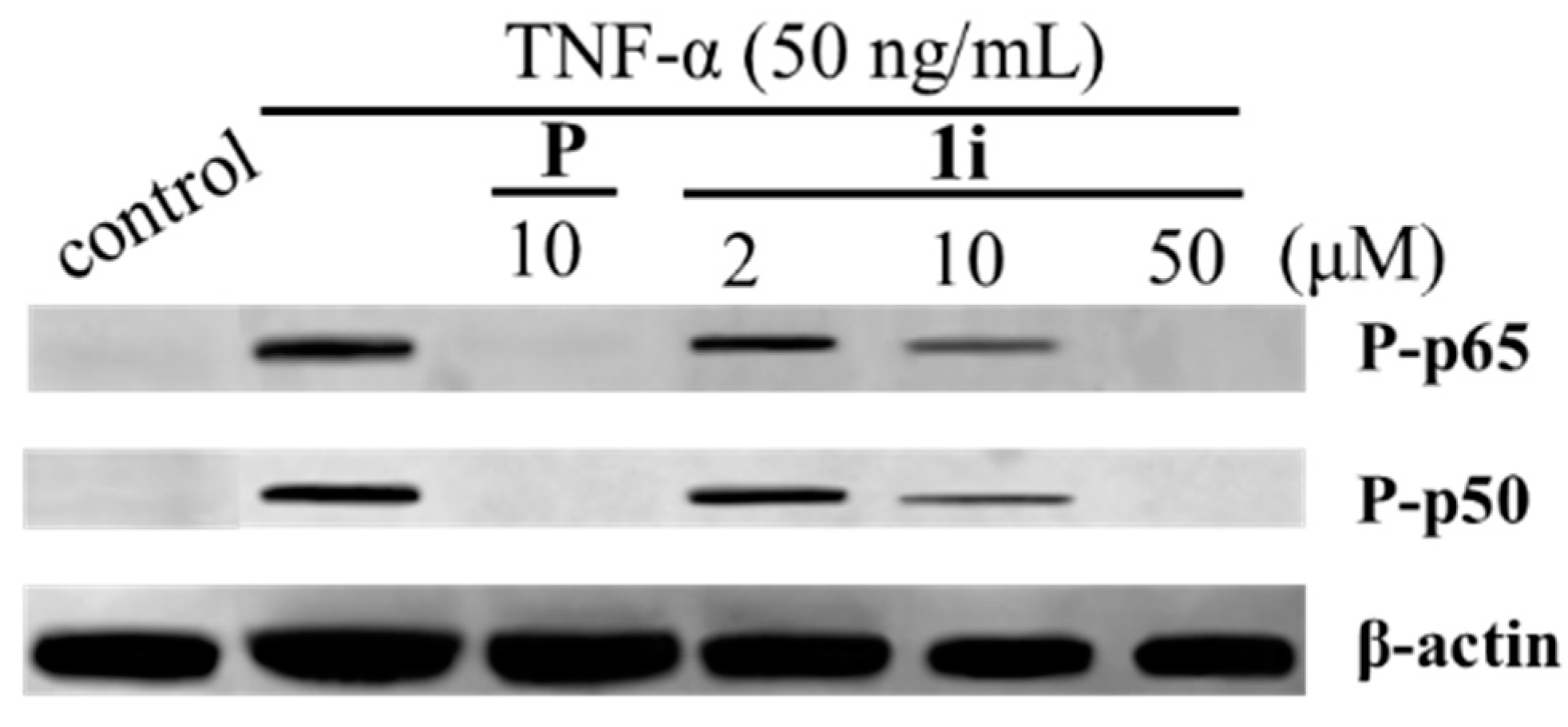 Molecules 22 01835 g004