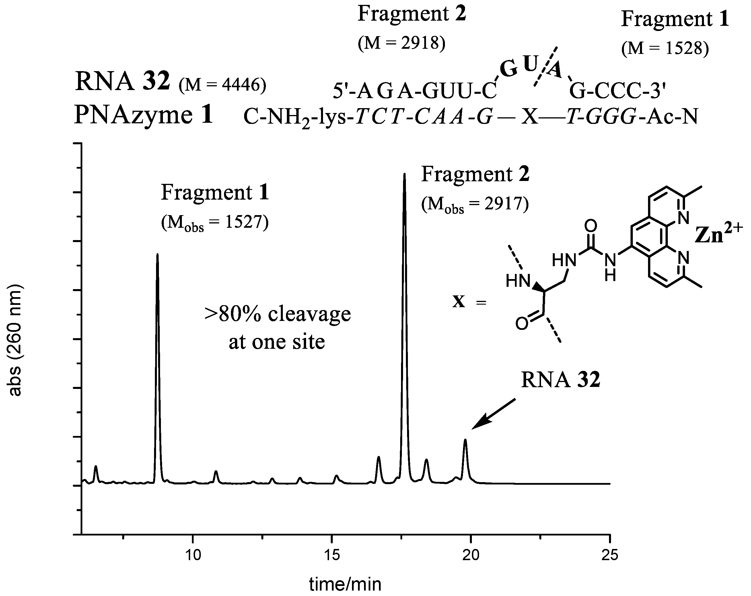Molecules 22 01856 g005