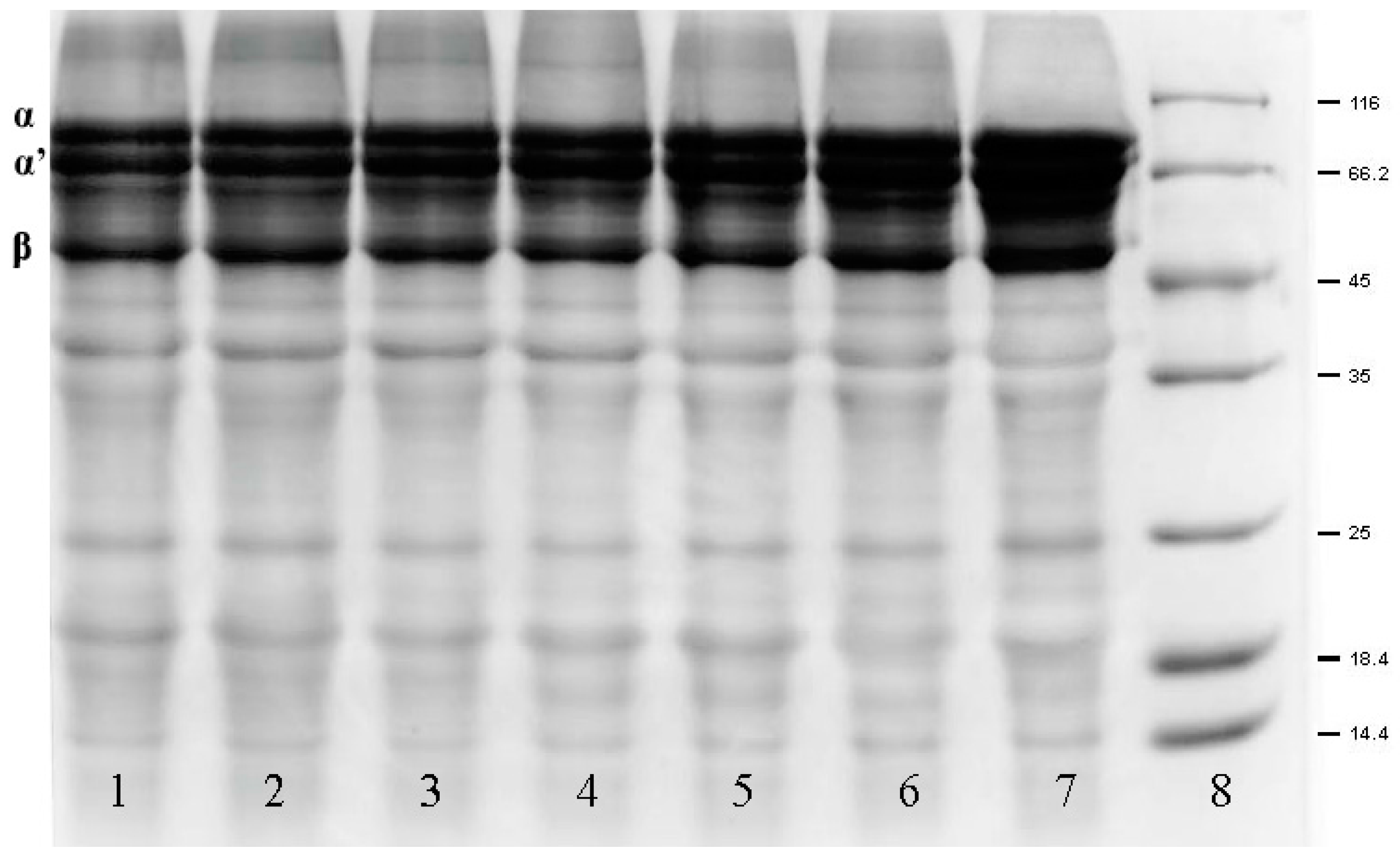 Molecules 22 01893 g005