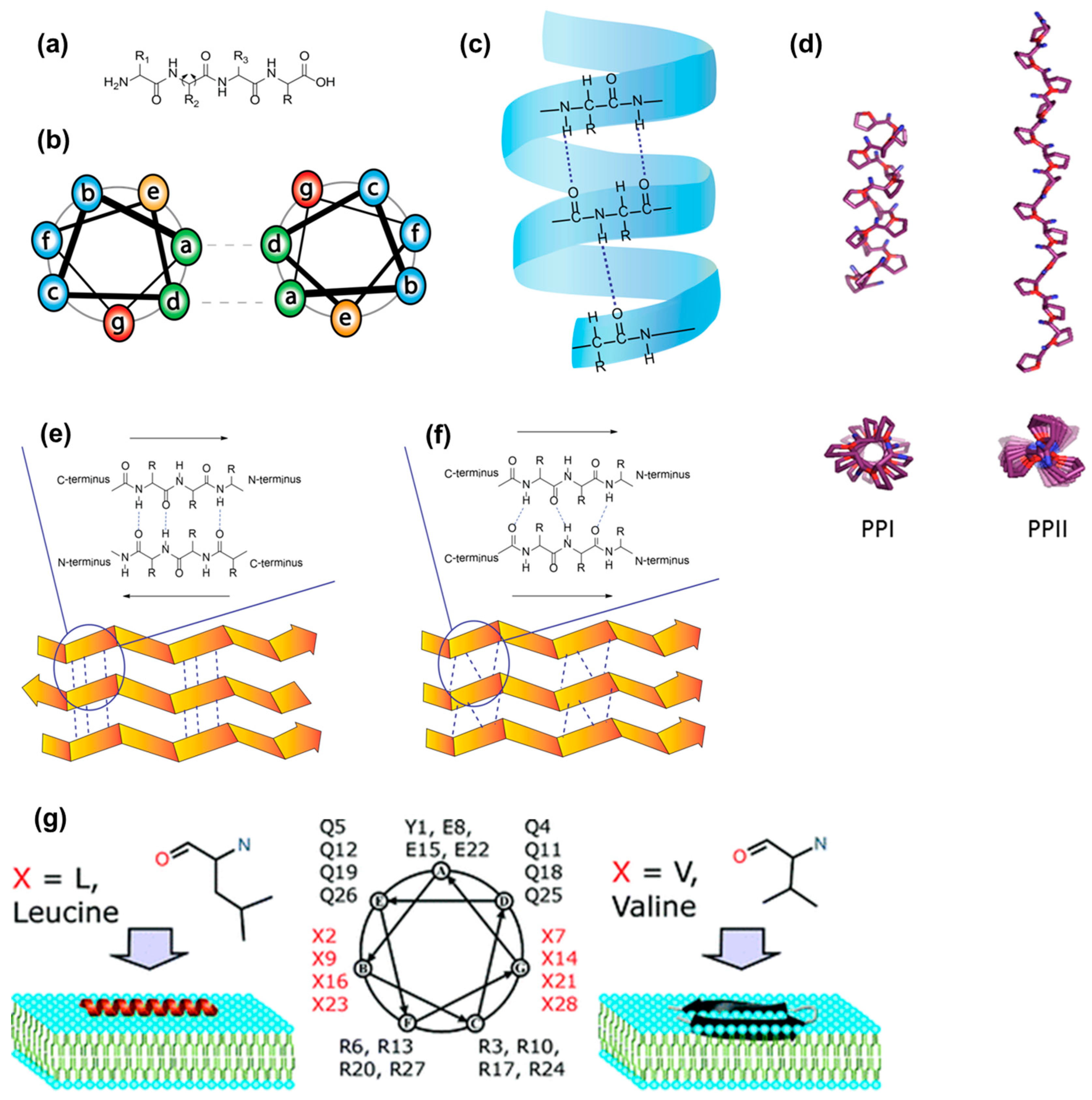Molecules 22 01929 g005