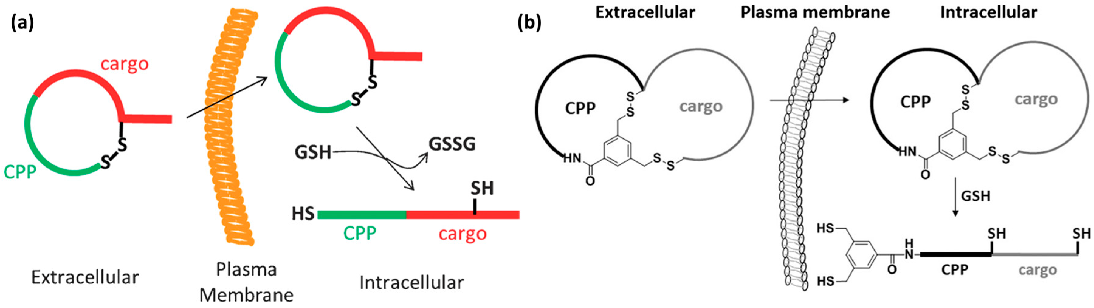 Molecules 22 01929 g009